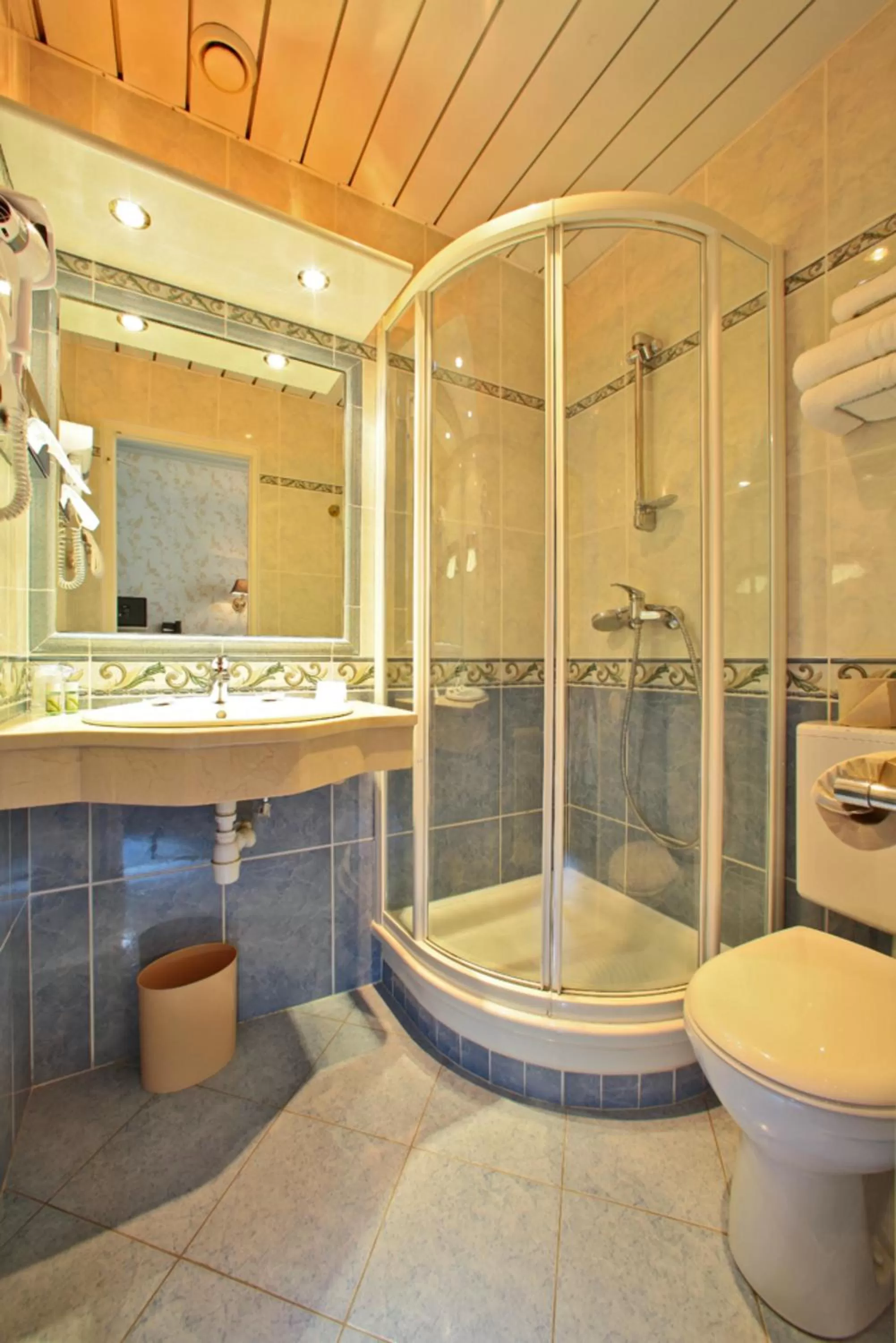 Shower in Best Western Beauséjour