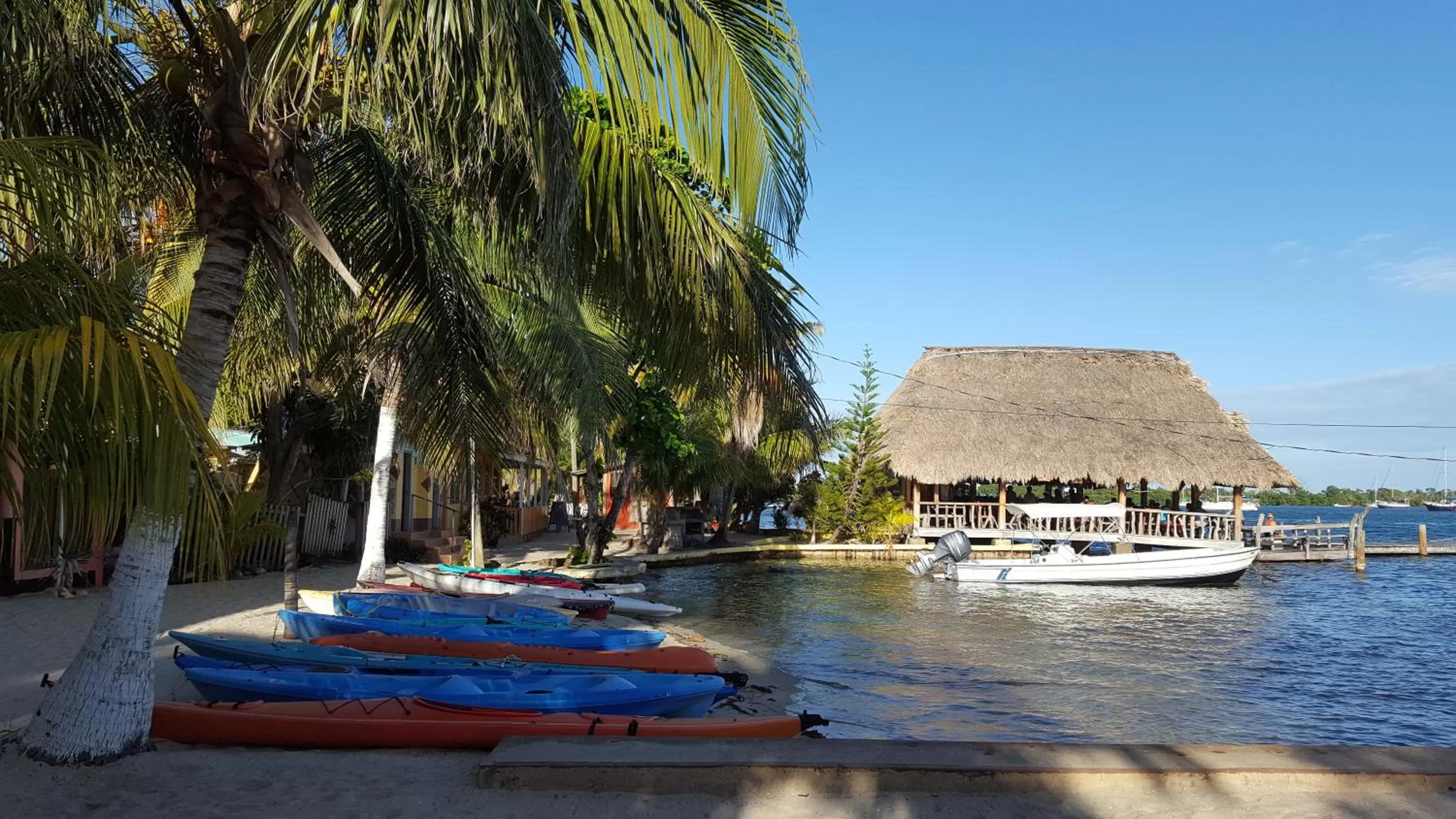 View (from property/room), Beach in Alan's Paradise Hotel