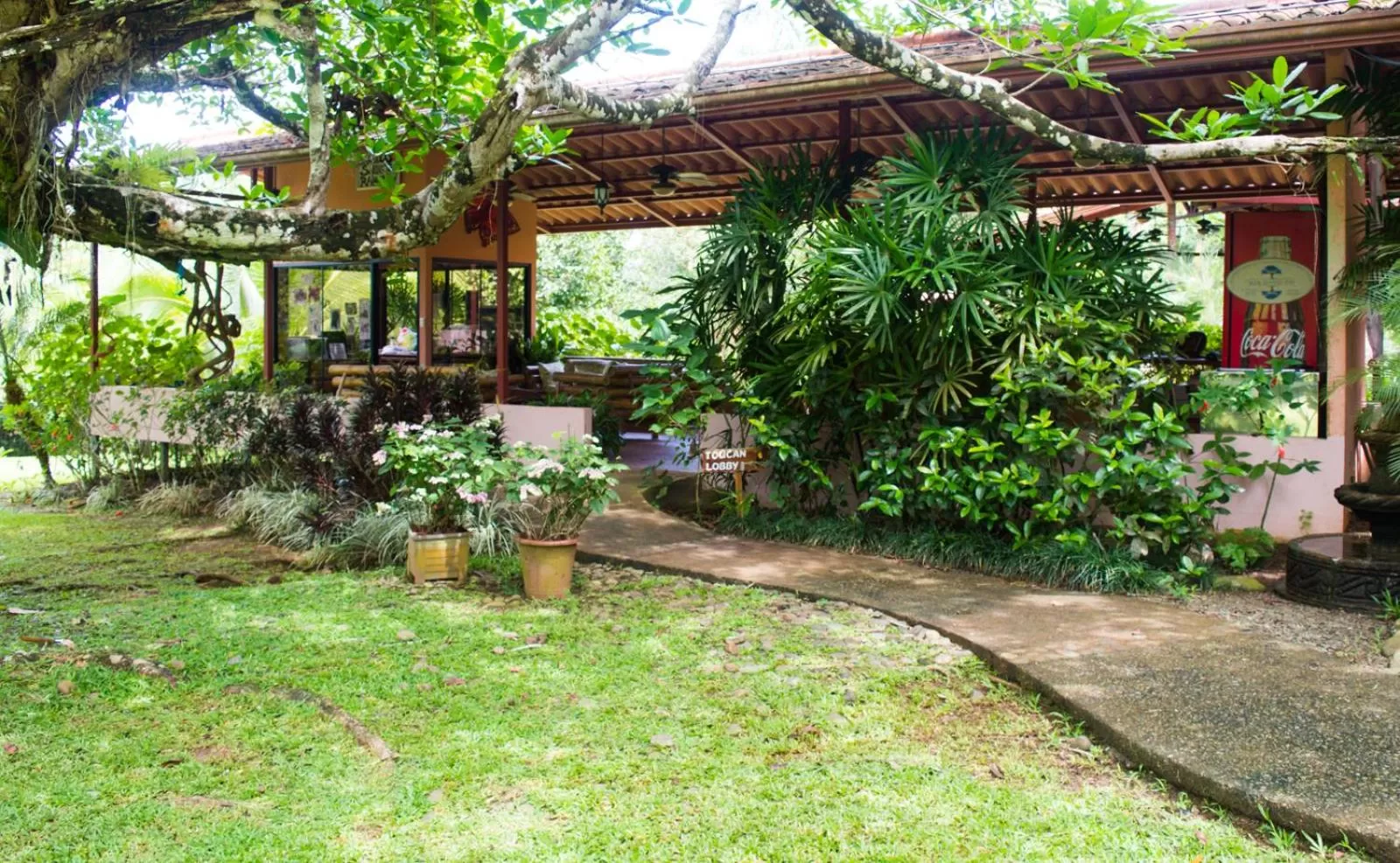 Day in Blue Banyan Inn