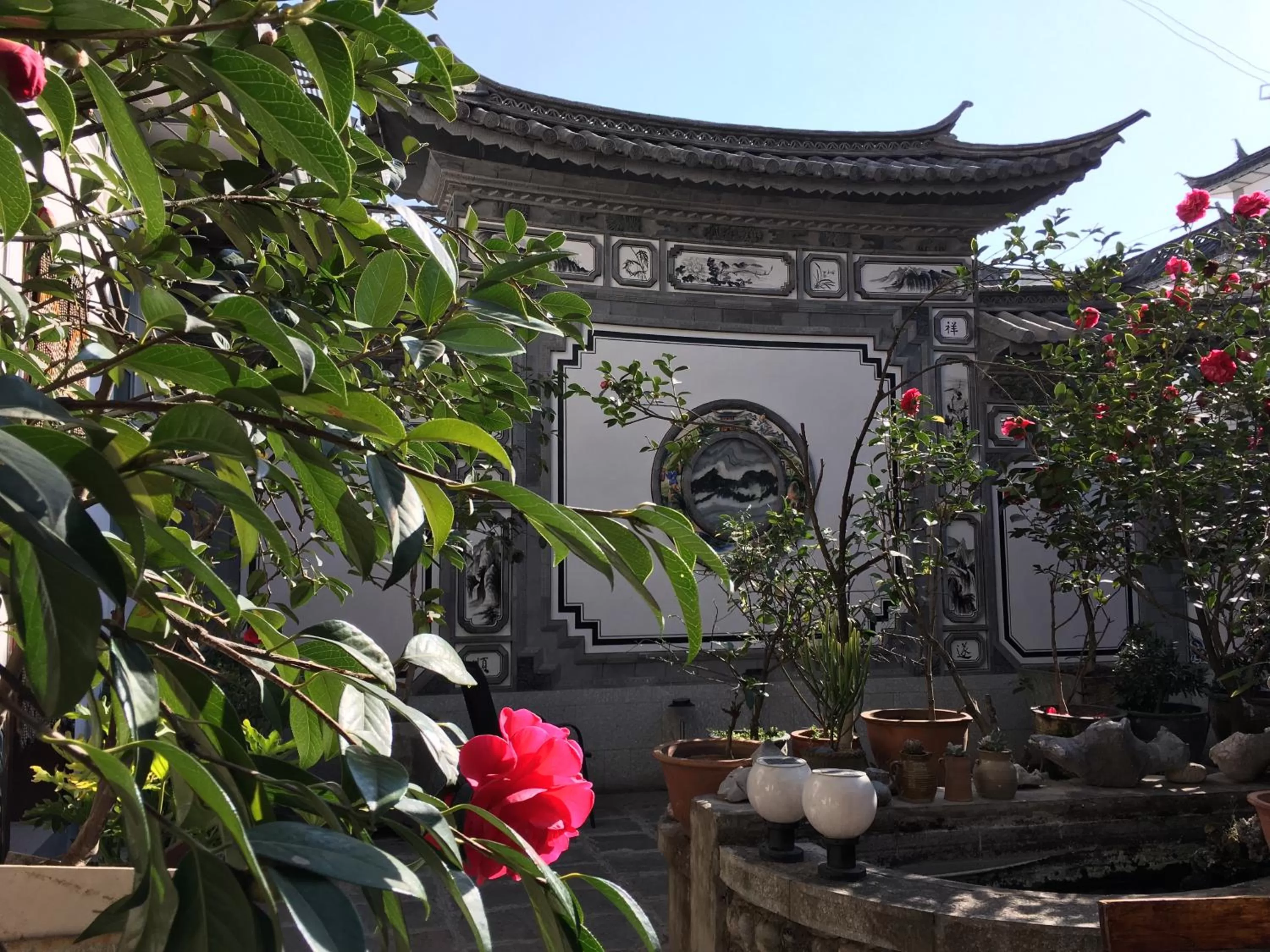 Garden view in The Lily Pad Inn