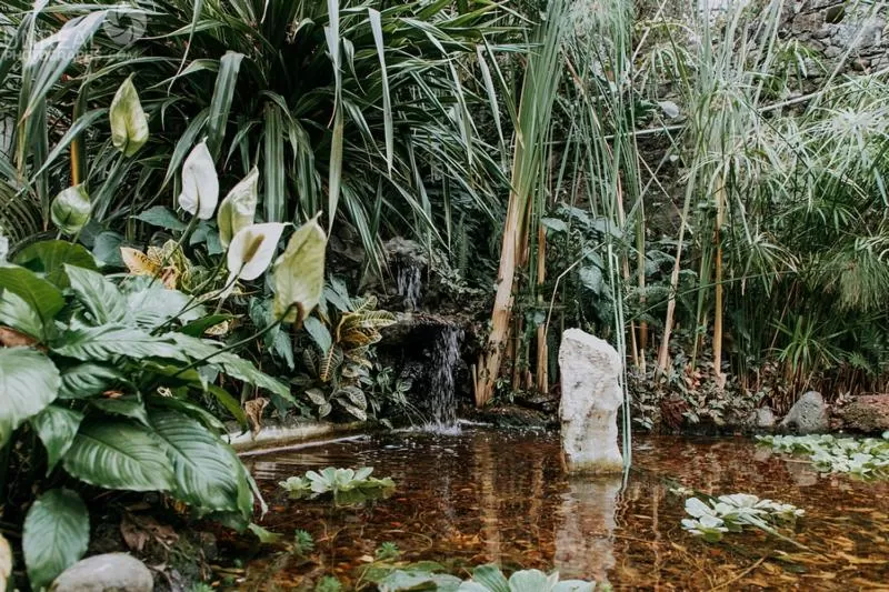 Hotel boutique Teocalli