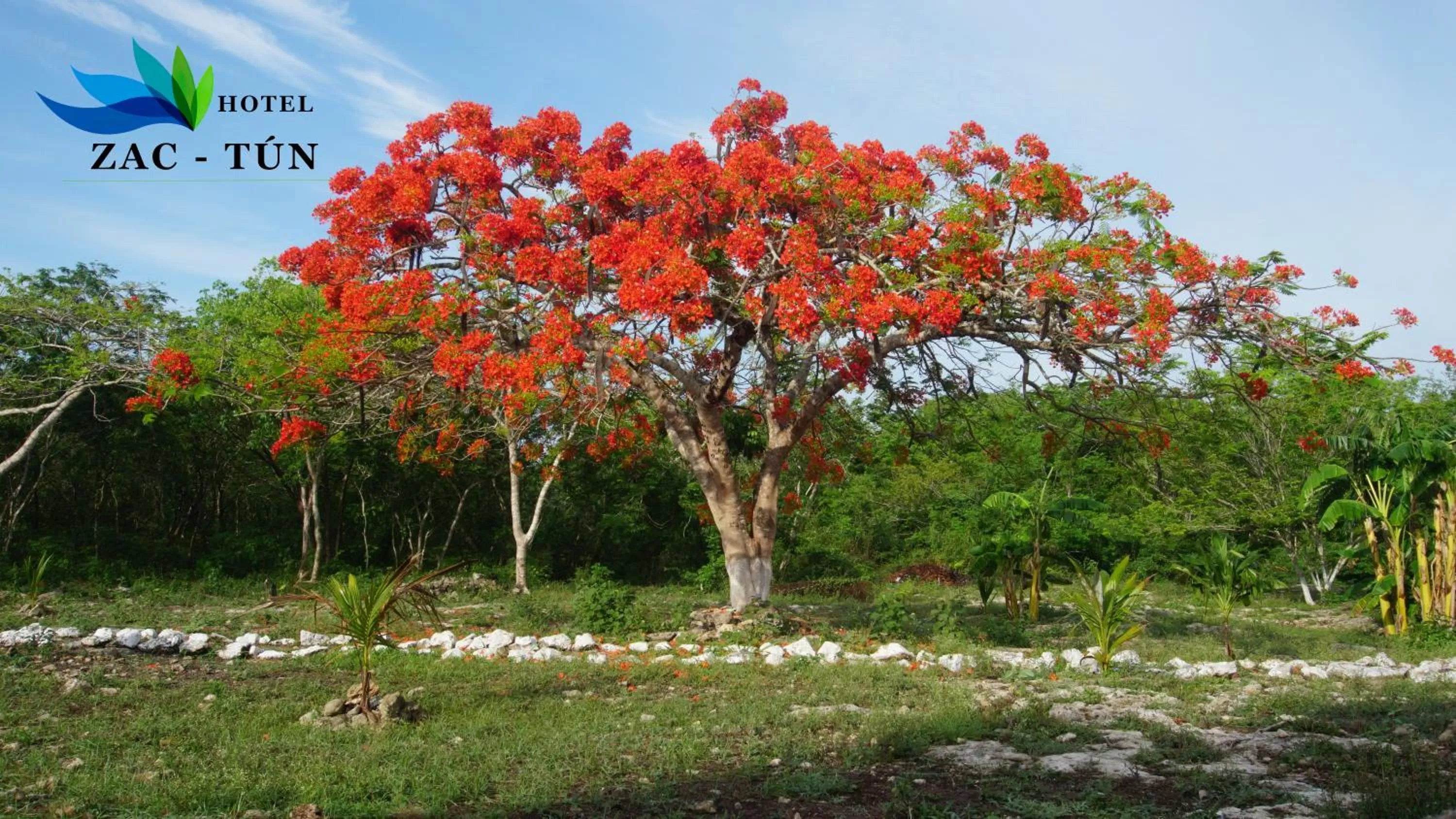 Garden, Property Building in Hotel Zac Tun