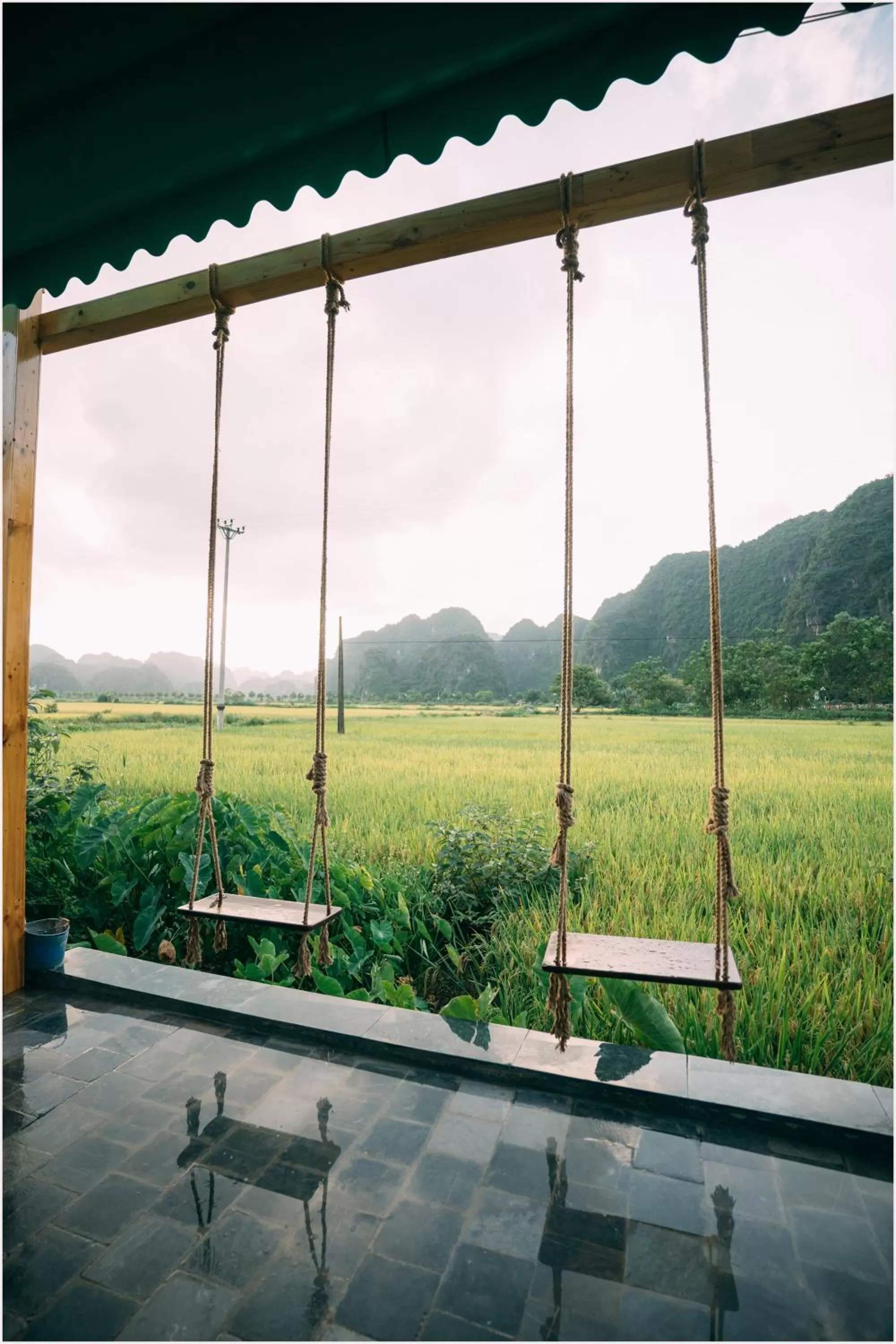 Natural landscape in Tam Coc Windy Fields