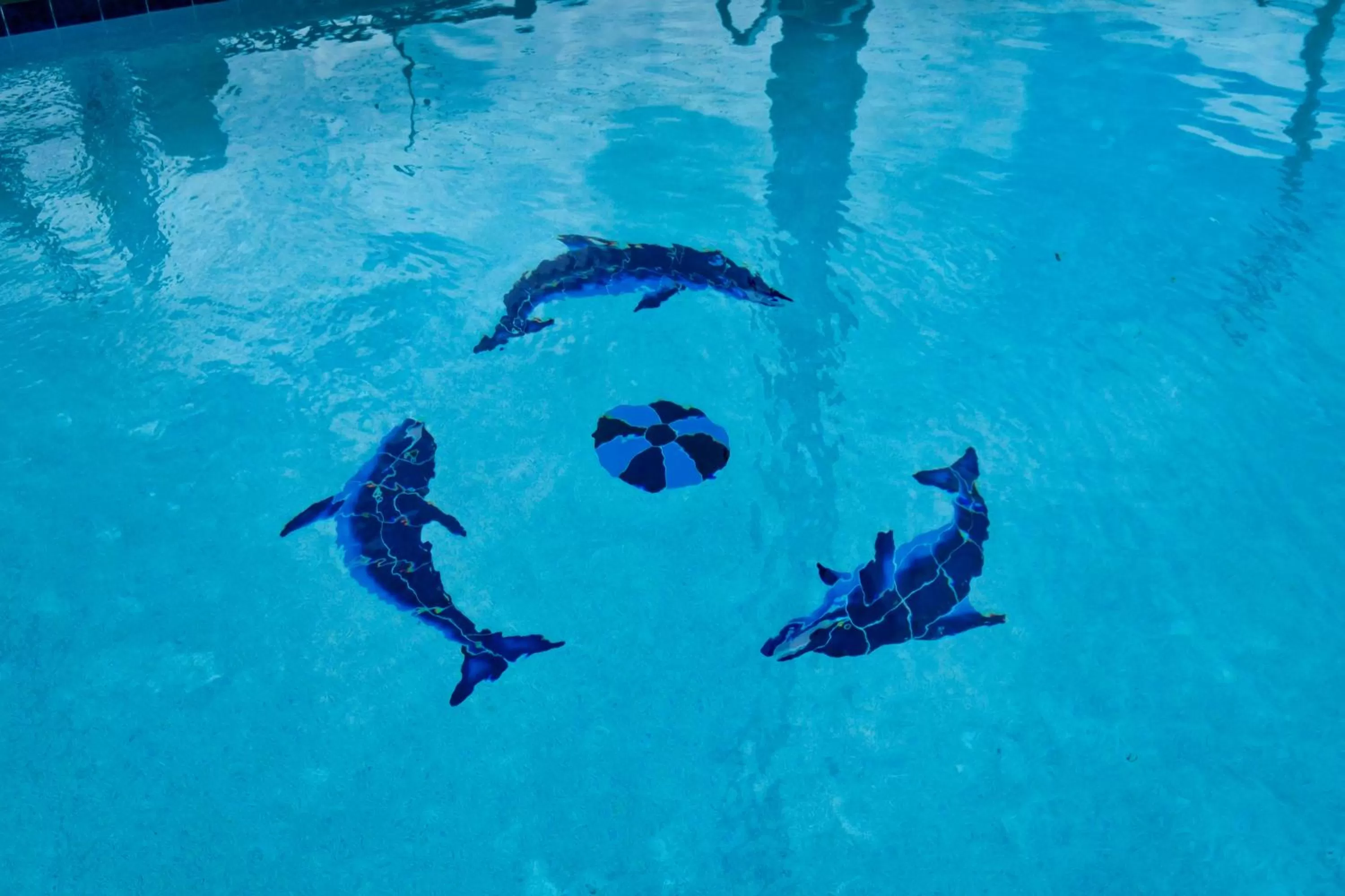 Swimming pool in Red Roof Inn & Suites Mobile SW - I-10