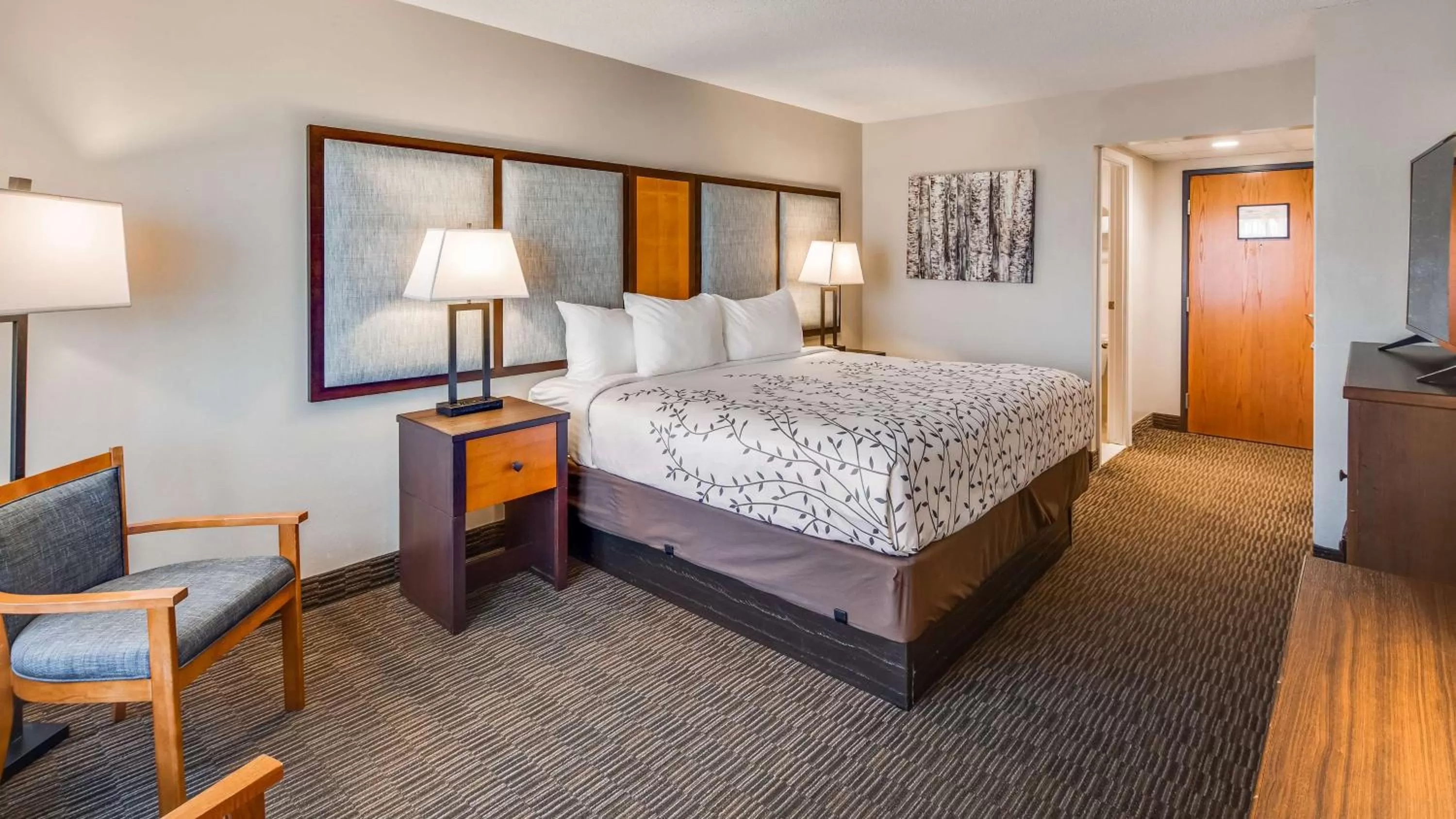 King Room - Non-Smoking in Americinn by Wyndham Birch Run - Frankenmuth