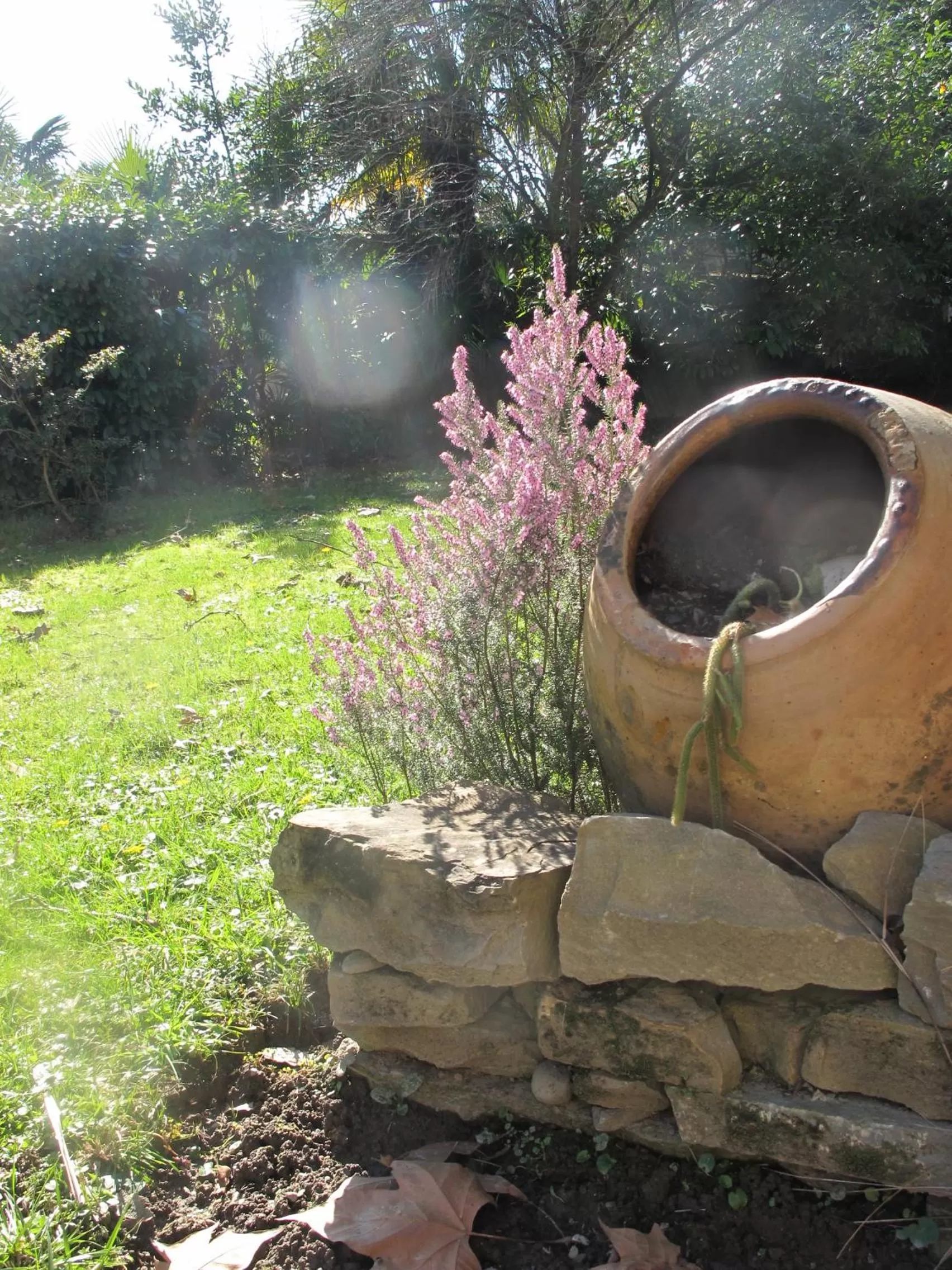 Garden in Villa Dampierre