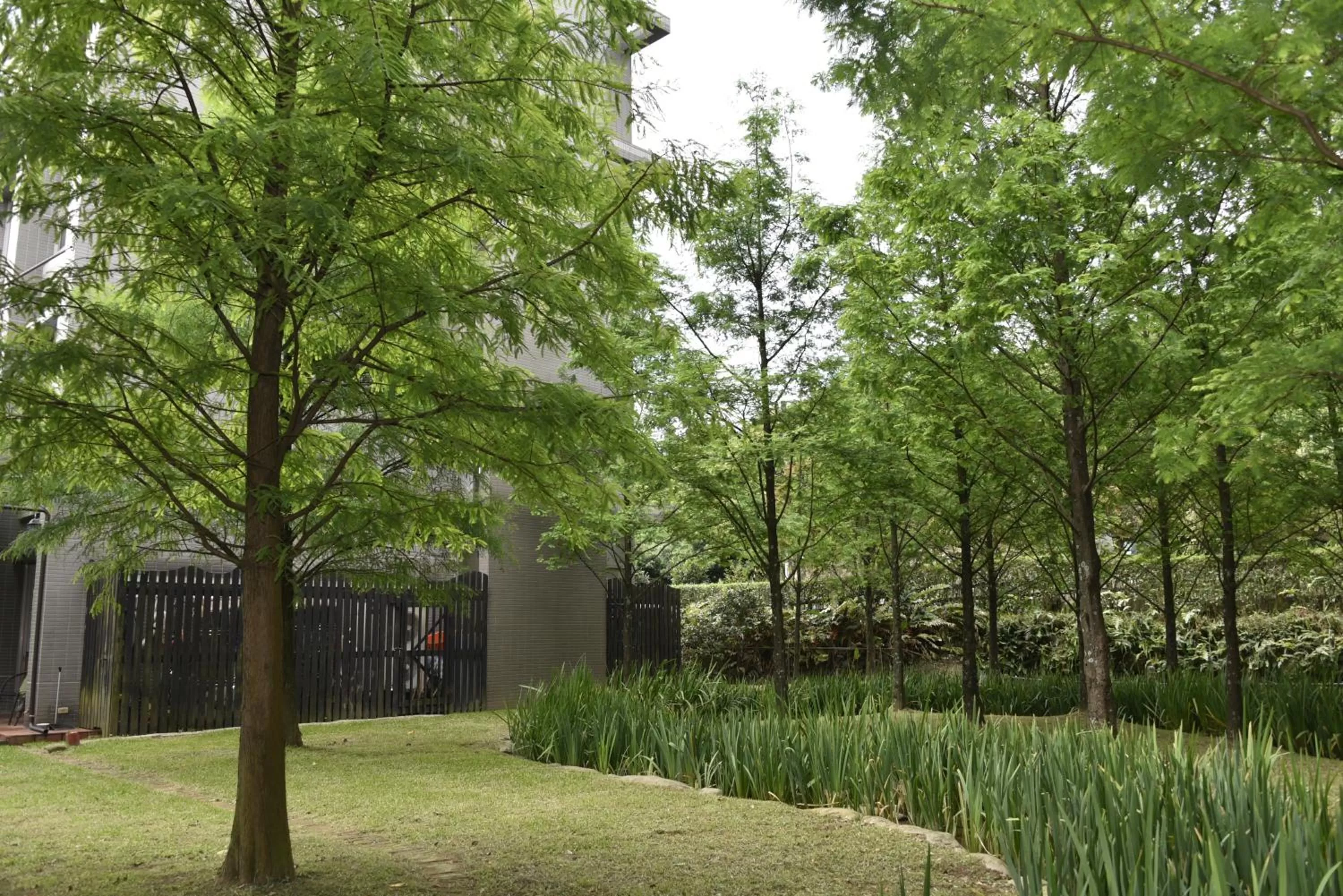 Natural landscape, Garden in Rainbow Bridge B&B