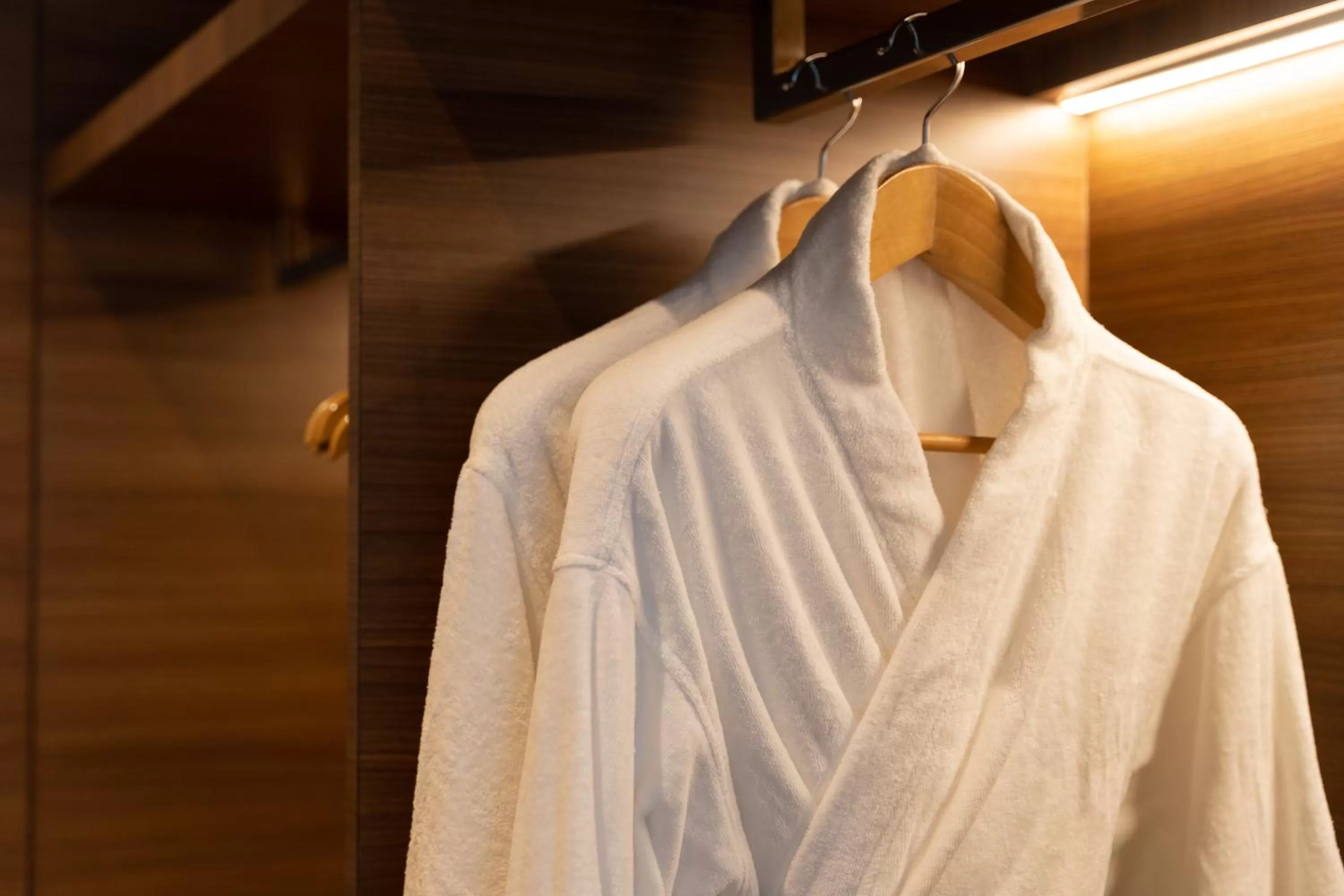 wardrobe in The Greenwood Guwahati - A Luxury Boutique Hotel