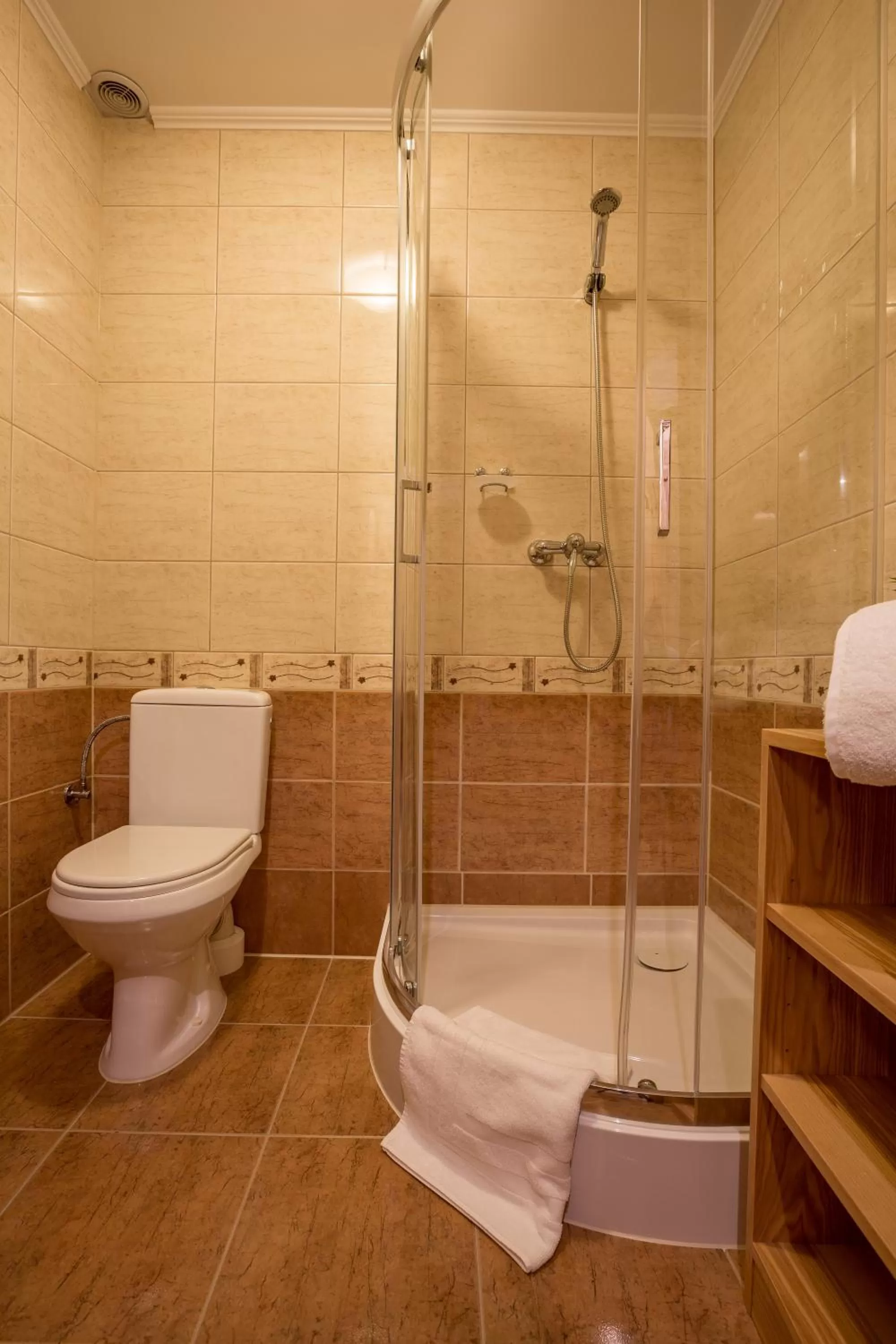 Shower in Willa Góralsko Riwiera