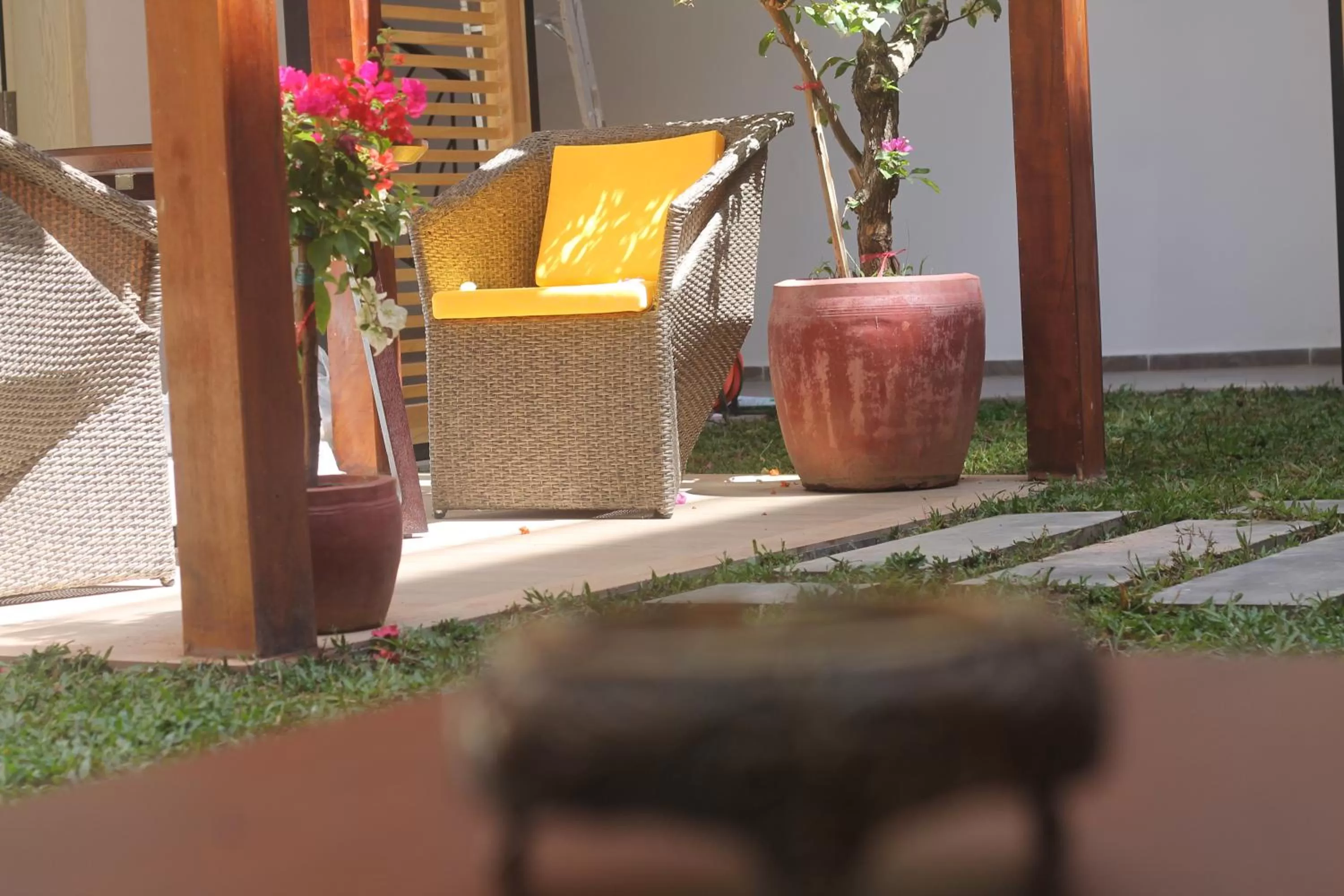 Garden in Benny's City Hotel