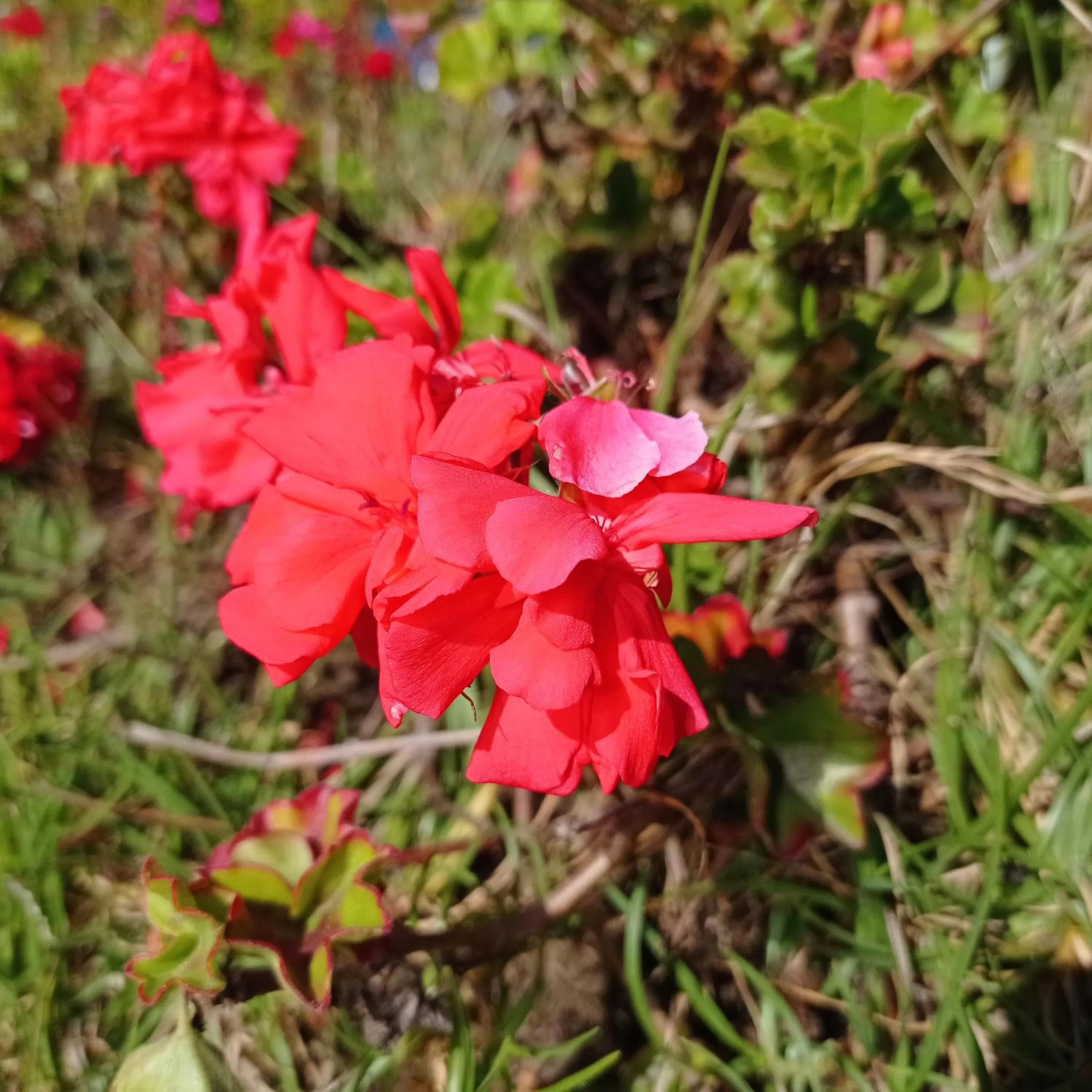 Hotel Refugio Pozo Azul