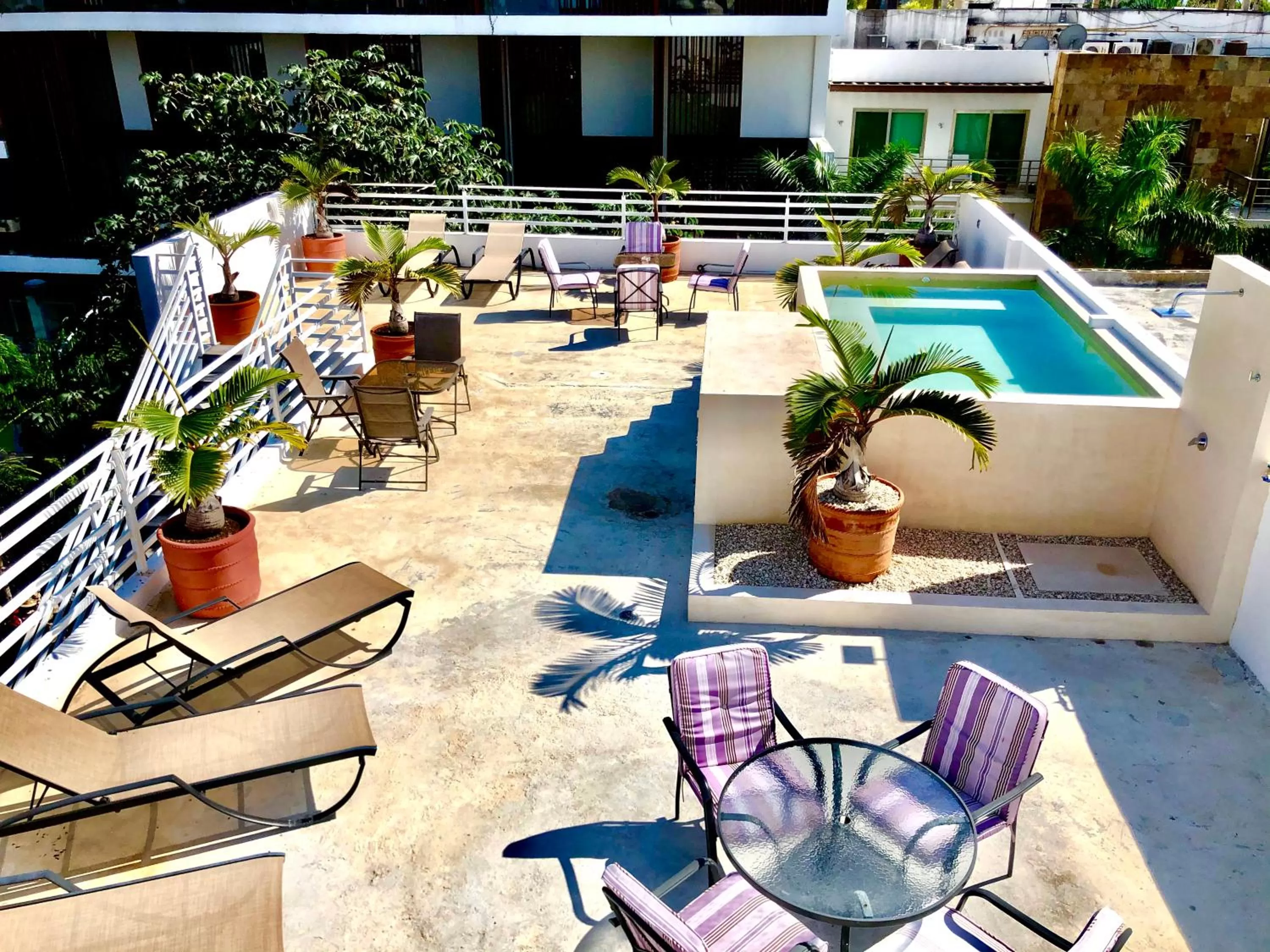 Swimming pool in SILVERSANDS Hotel Boutique - 5Th Ave