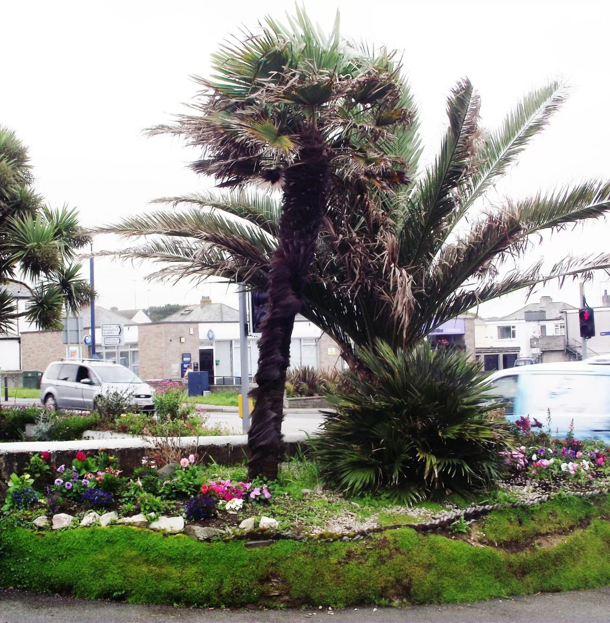 Facade/entrance in Jasmine House