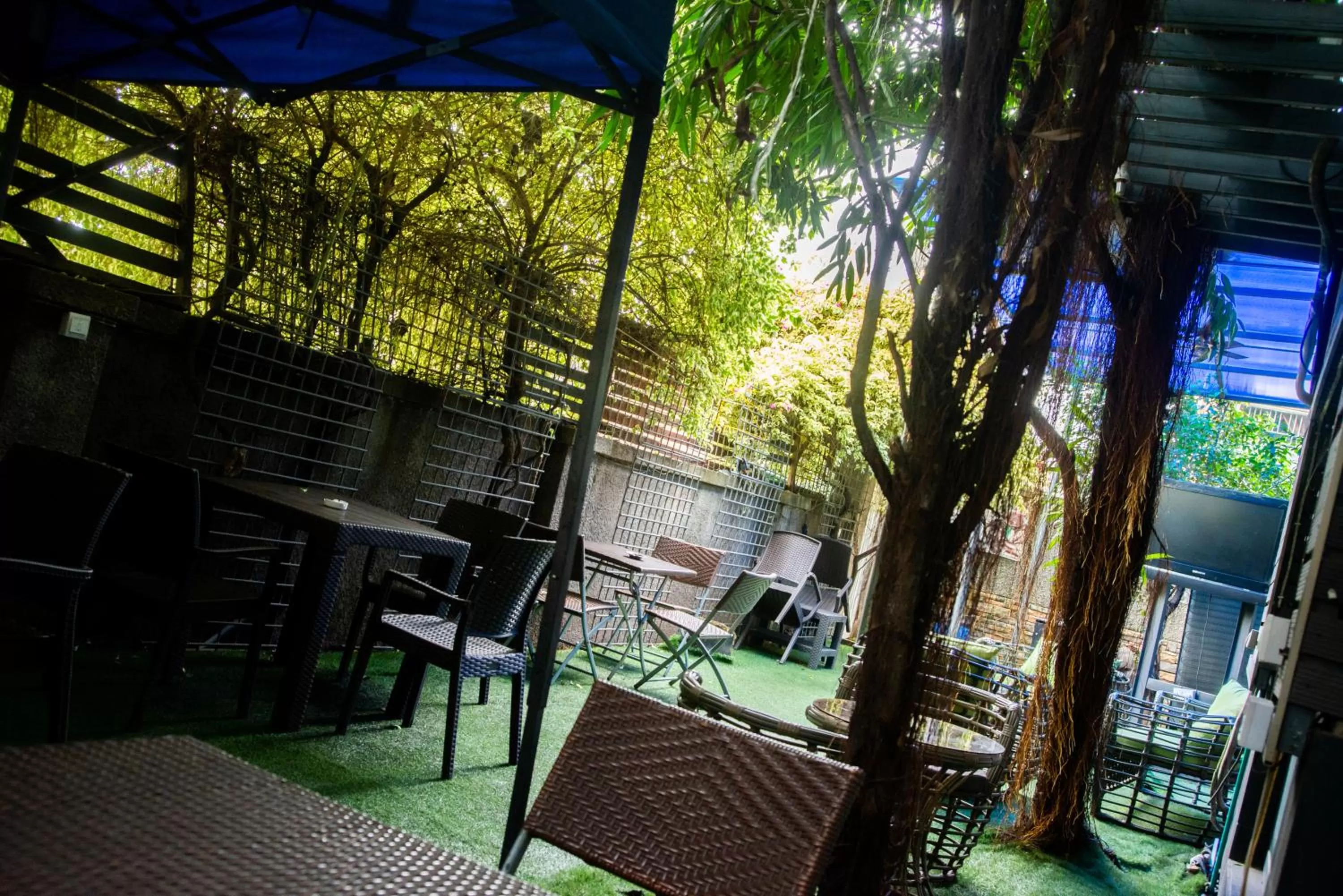 Garden in Sese Cottage