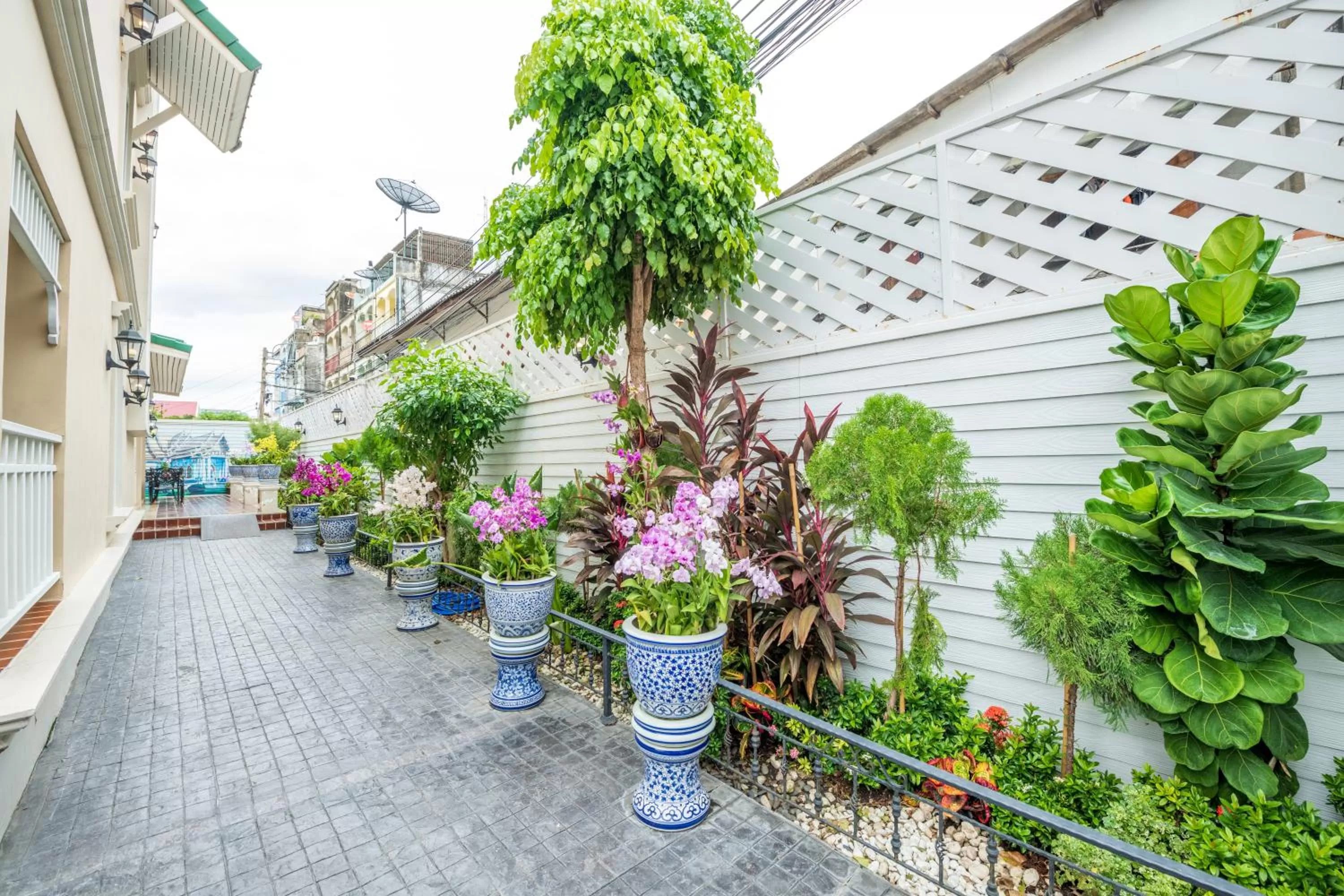 Patio in The Orchid House 153