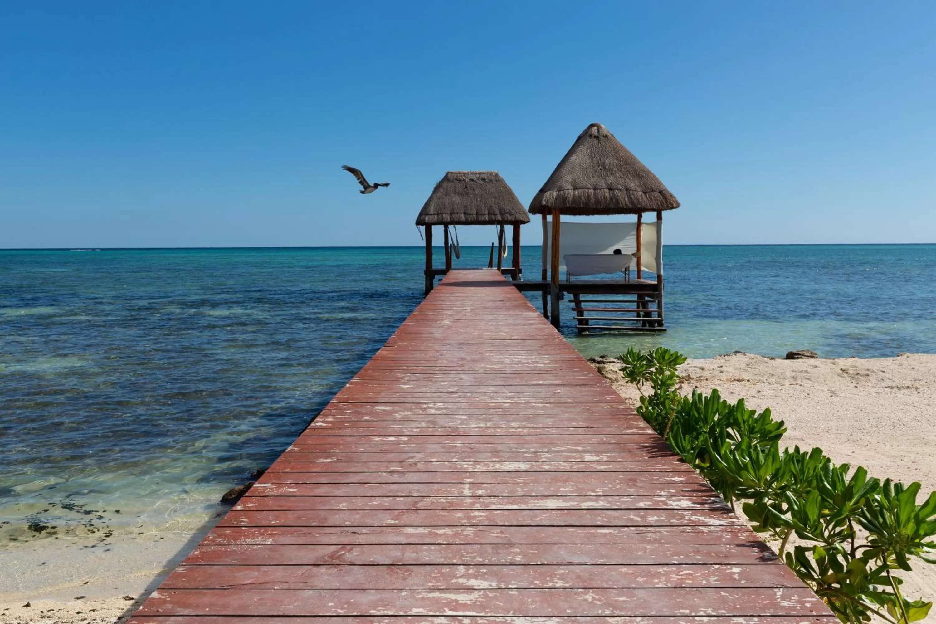 Property building in Mereva Tulum