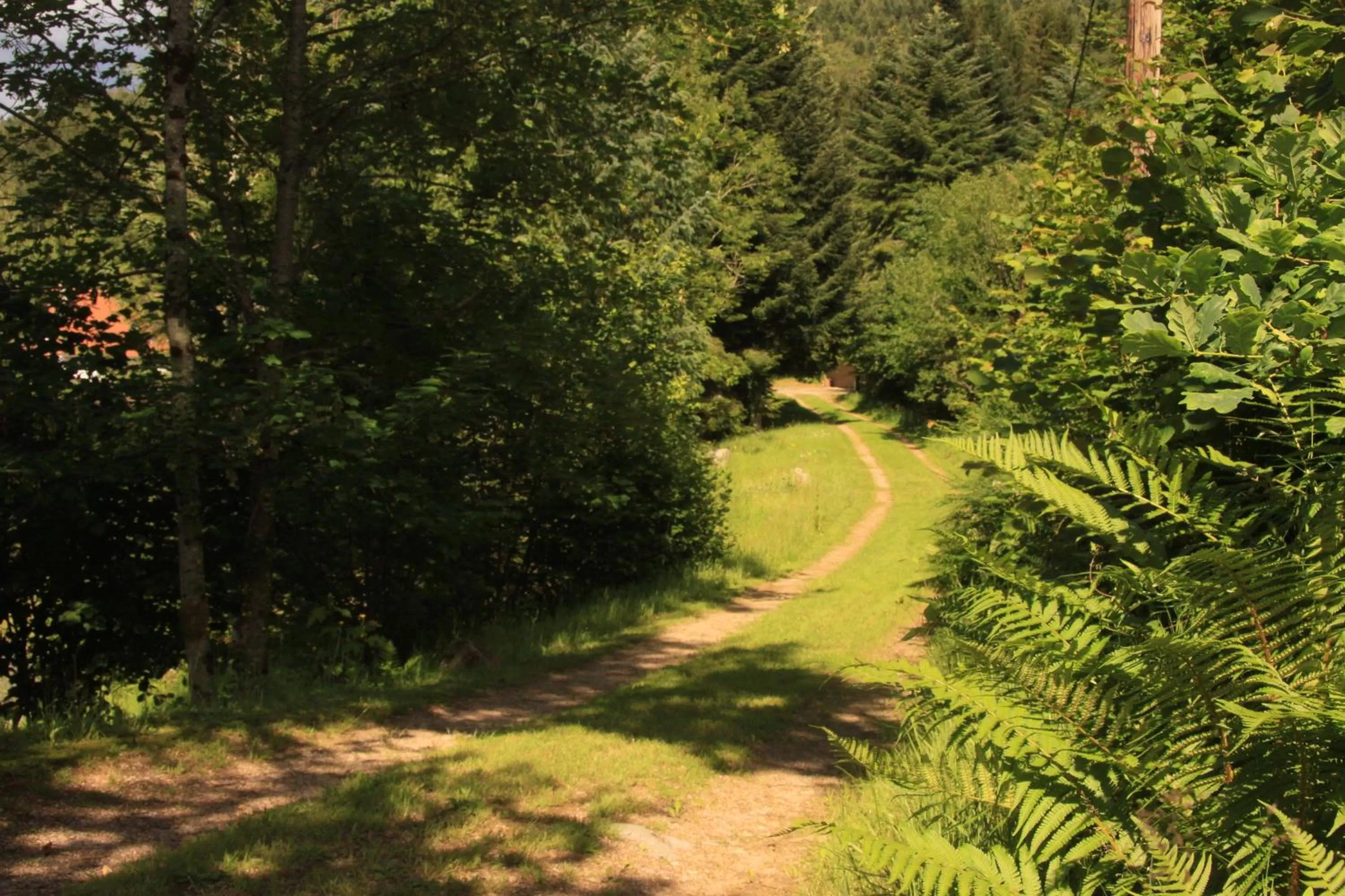 Notre Dame des Monts