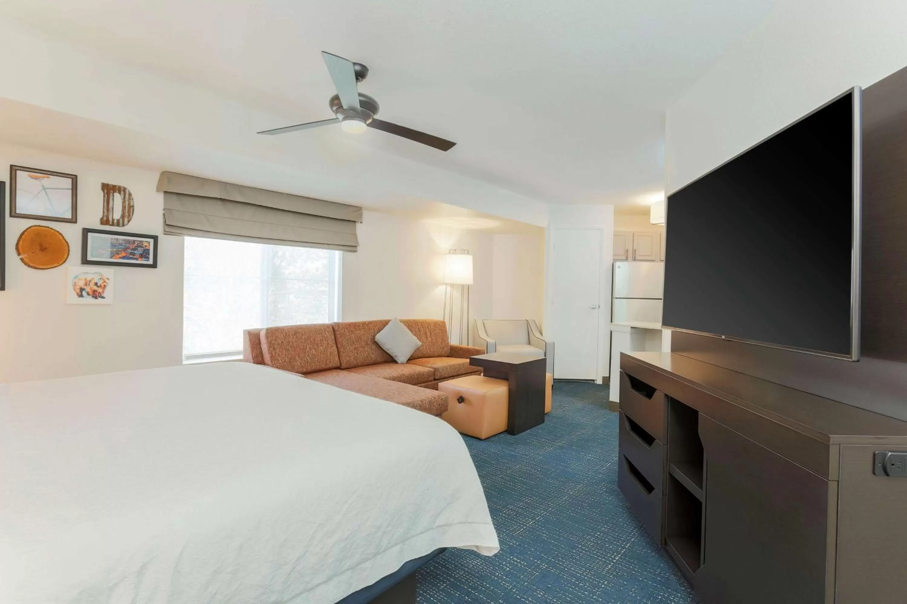 TV and multimedia, Bed in Hampton Inn & Suites Denver Tech Center