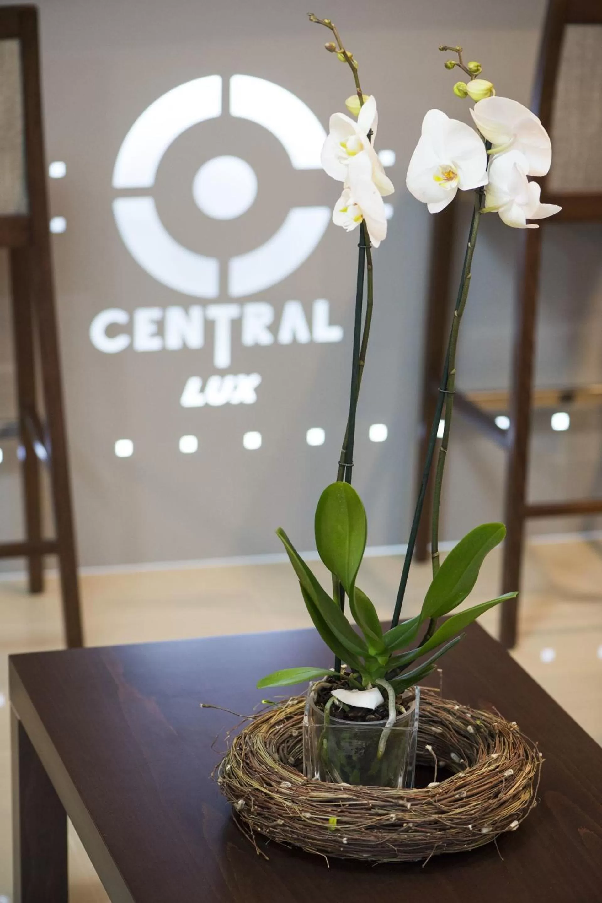 Lobby or reception in Garni Hotel Central Lux