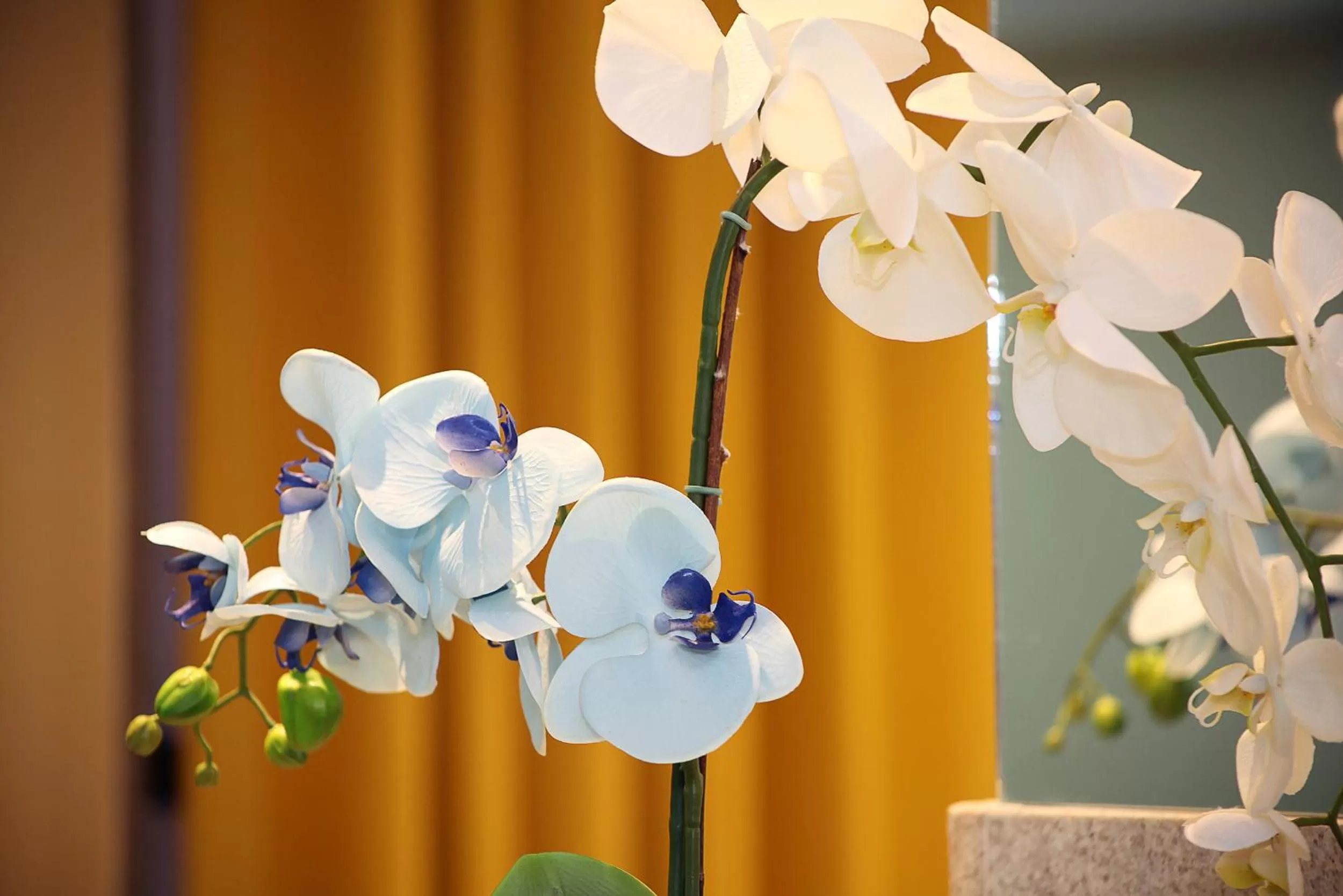 Decorative detail in Elegance Praia Hotel