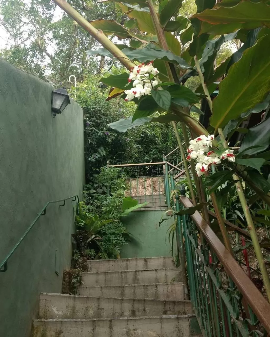 Garden in Pousada Solar D Alcina