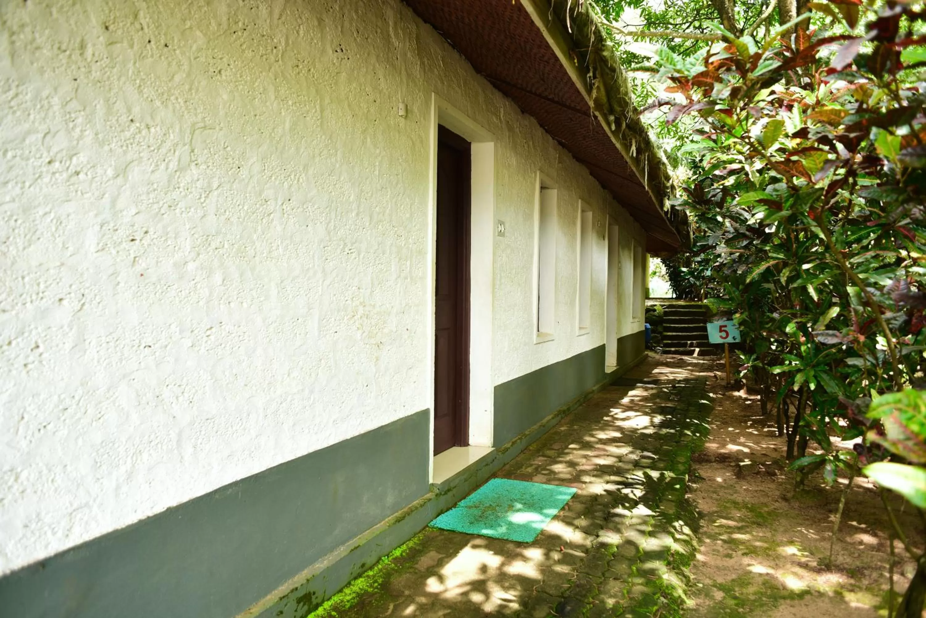 Property building, Swimming Pool in Red Earth - Gokarna