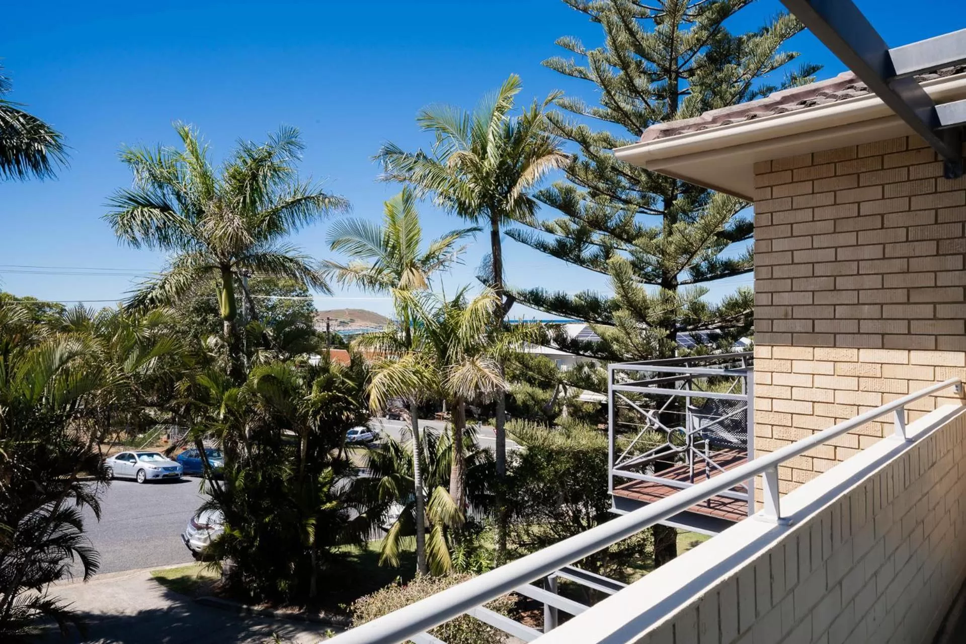 Garden in Caribbean Motel