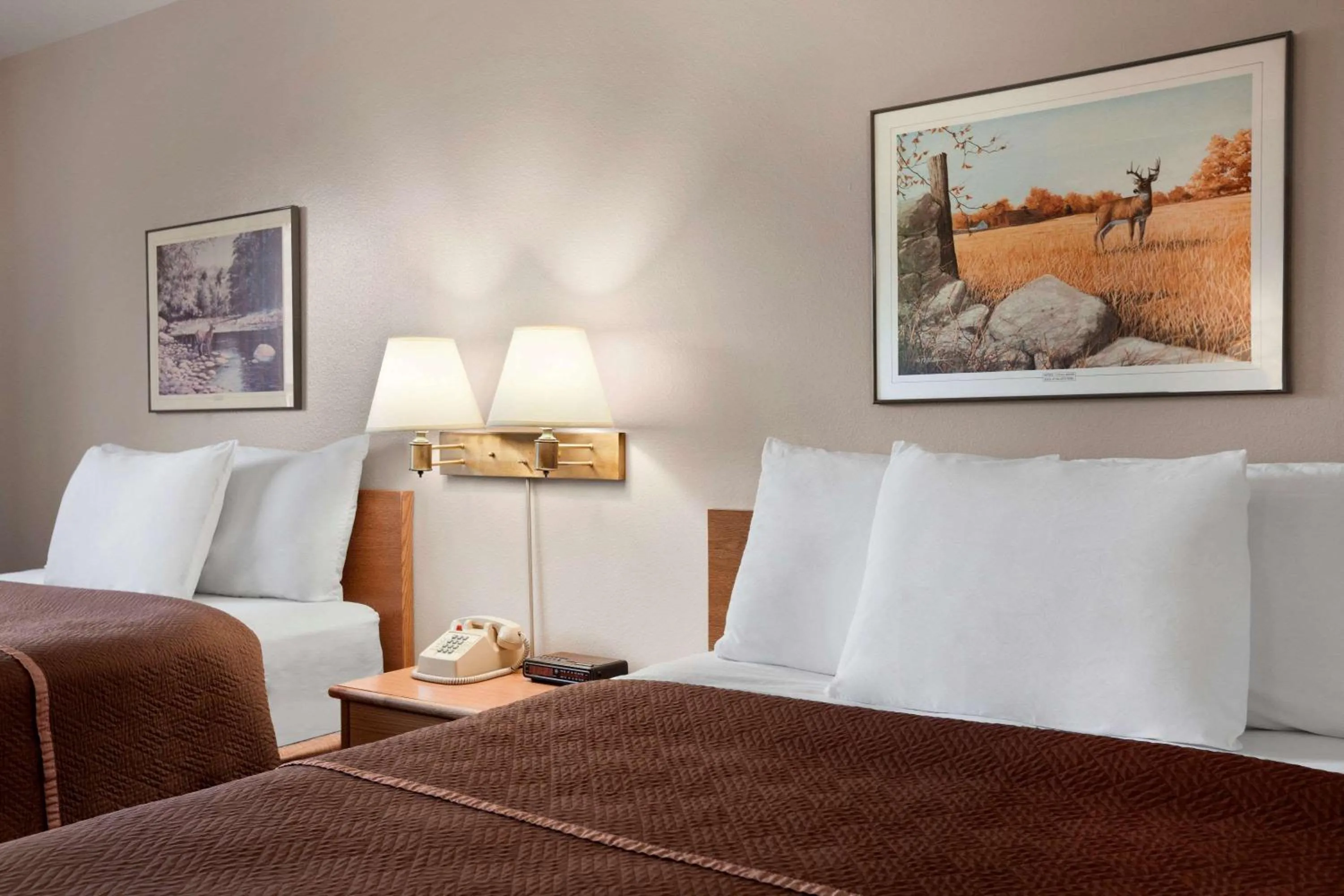 Photo of the whole room, Bed in Travelodge by Wyndham Elko NV