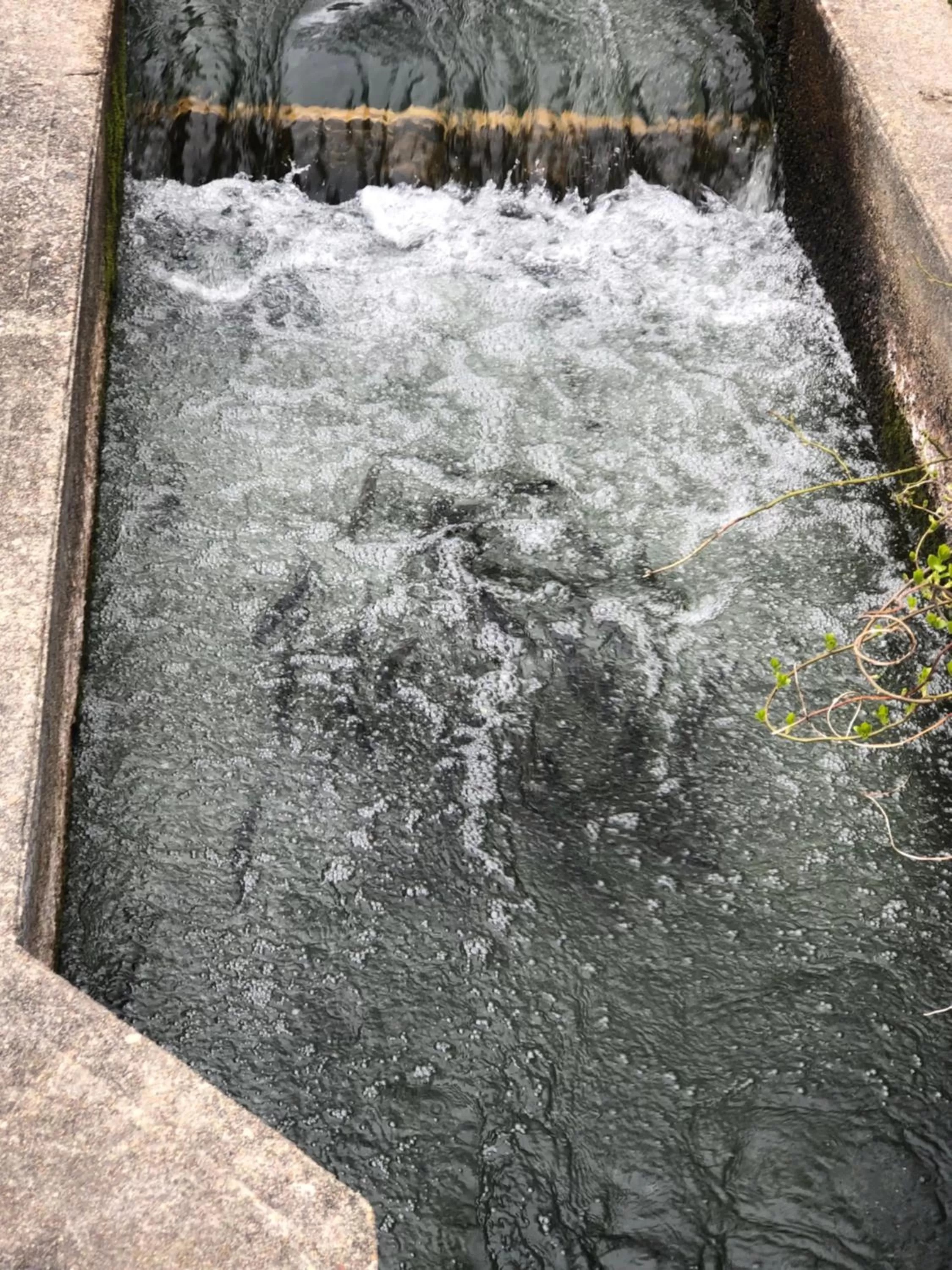 Herring Run Motel and Tiny Cabins