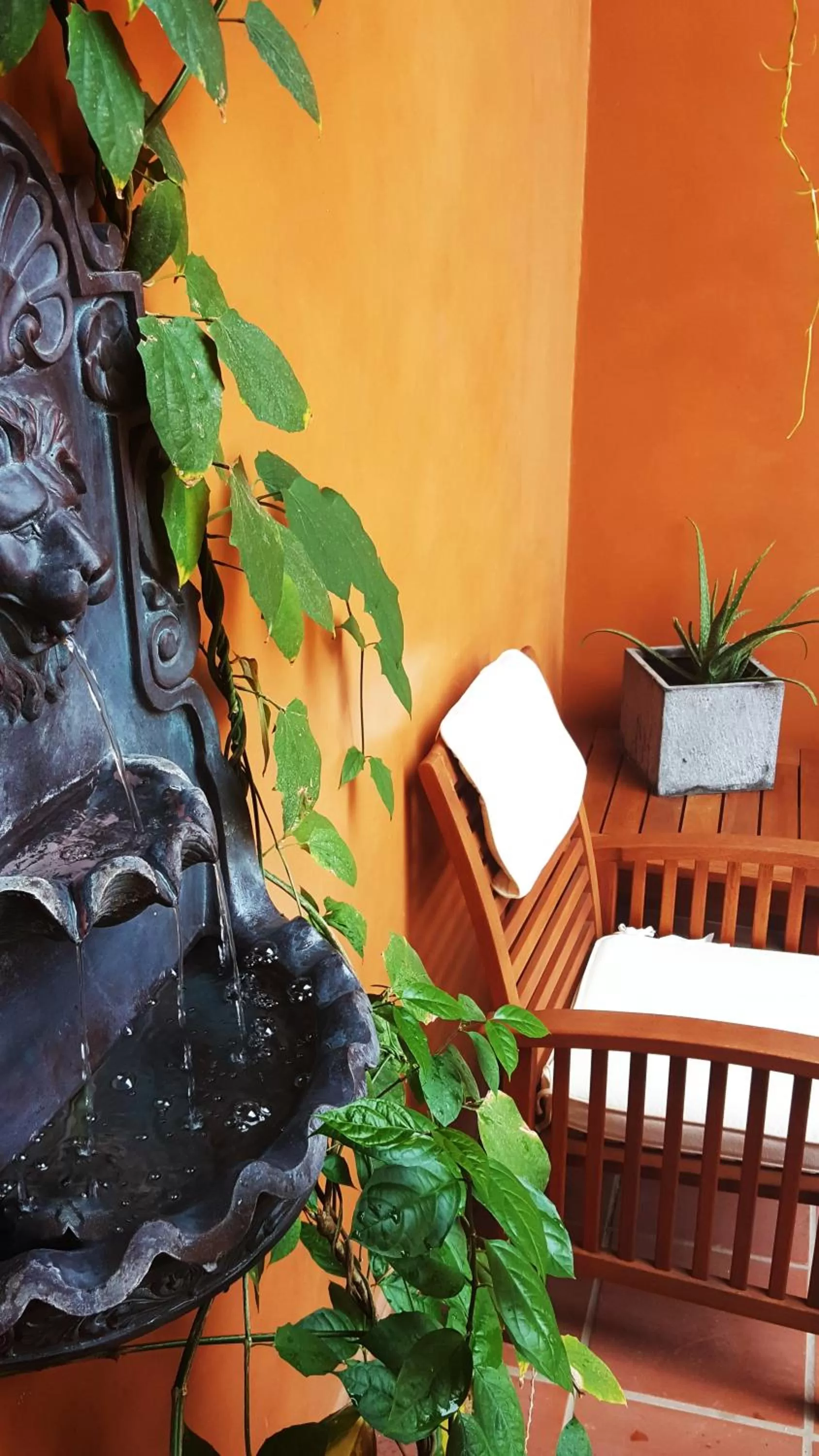 Patio in La Isabela Suites