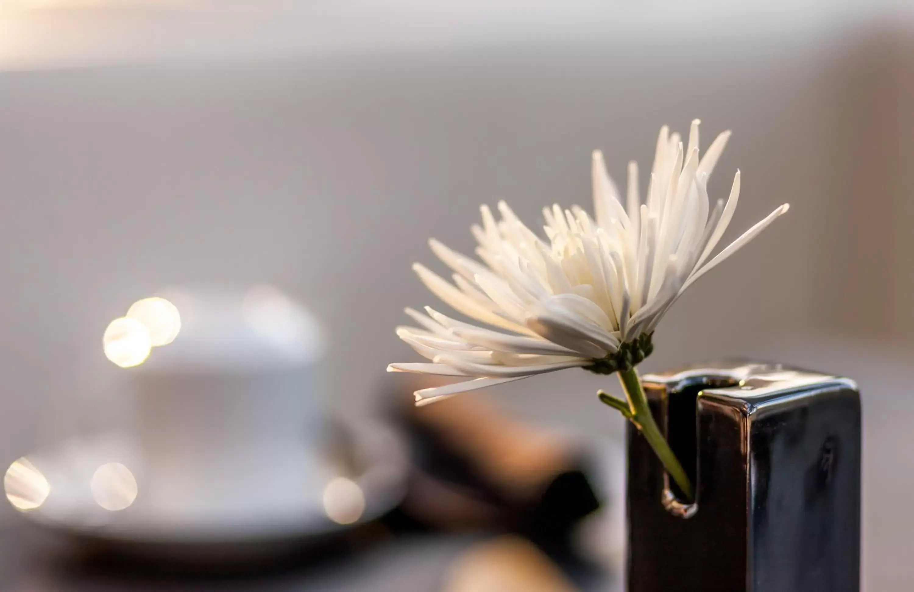 One Bedroom Suite Accessible in Godfrey Hotel Chicago One Bedroom Suite Accessible in Godfrey Hotel Chicago