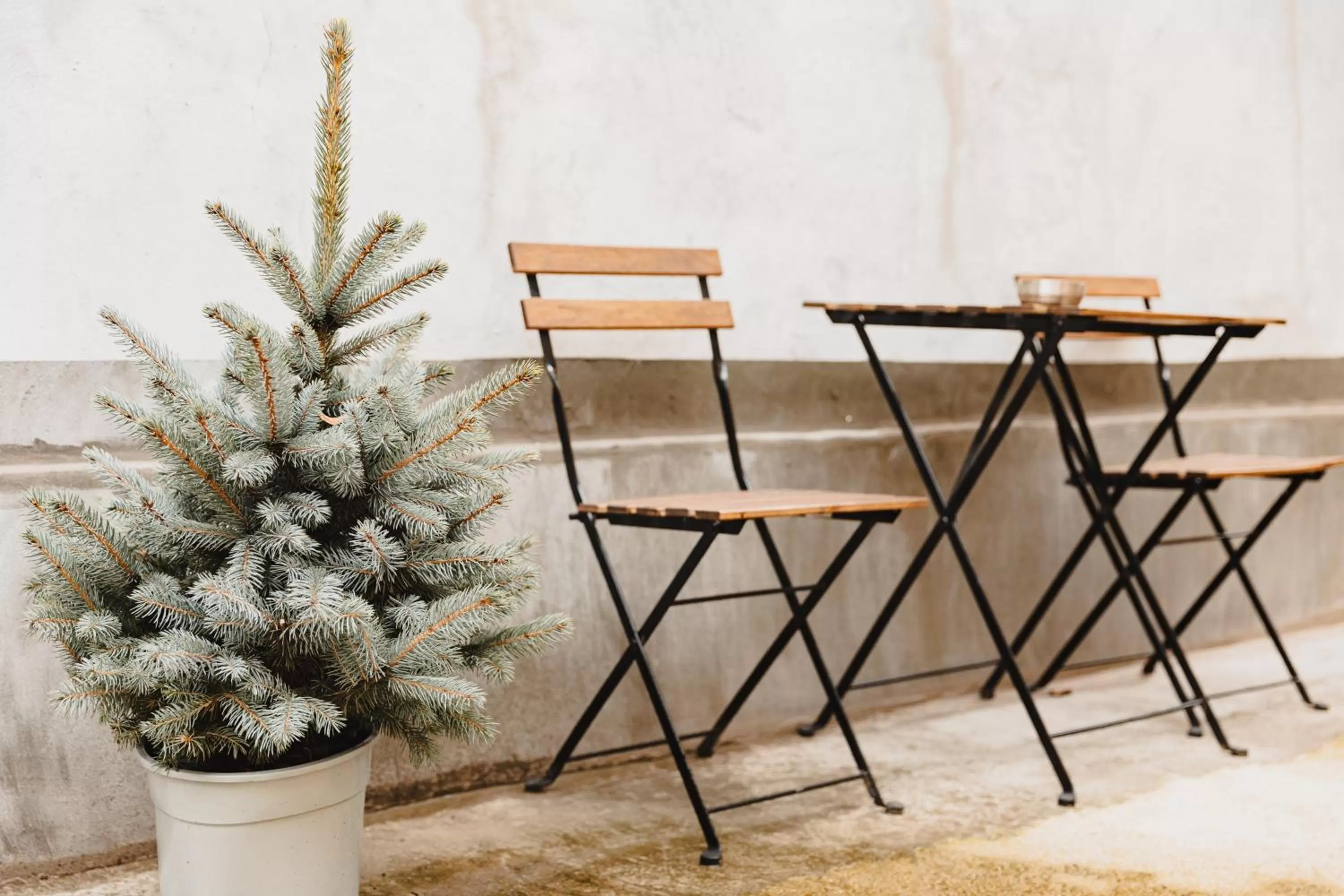Balcony/Terrace in ALBERT RESIDENCE with PARKING