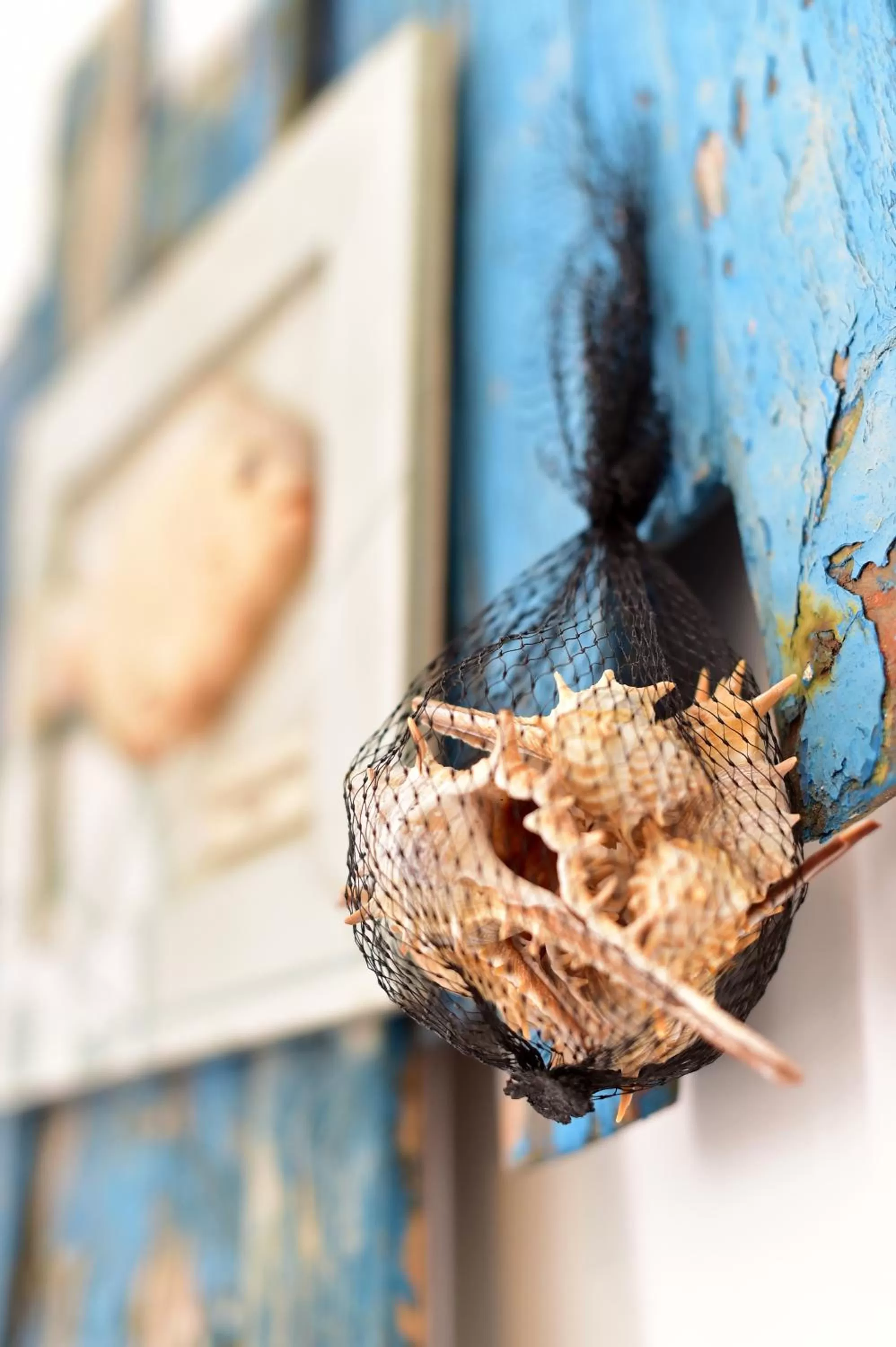 Decorative detail in Mercearia D'Alegria Boutique B&B