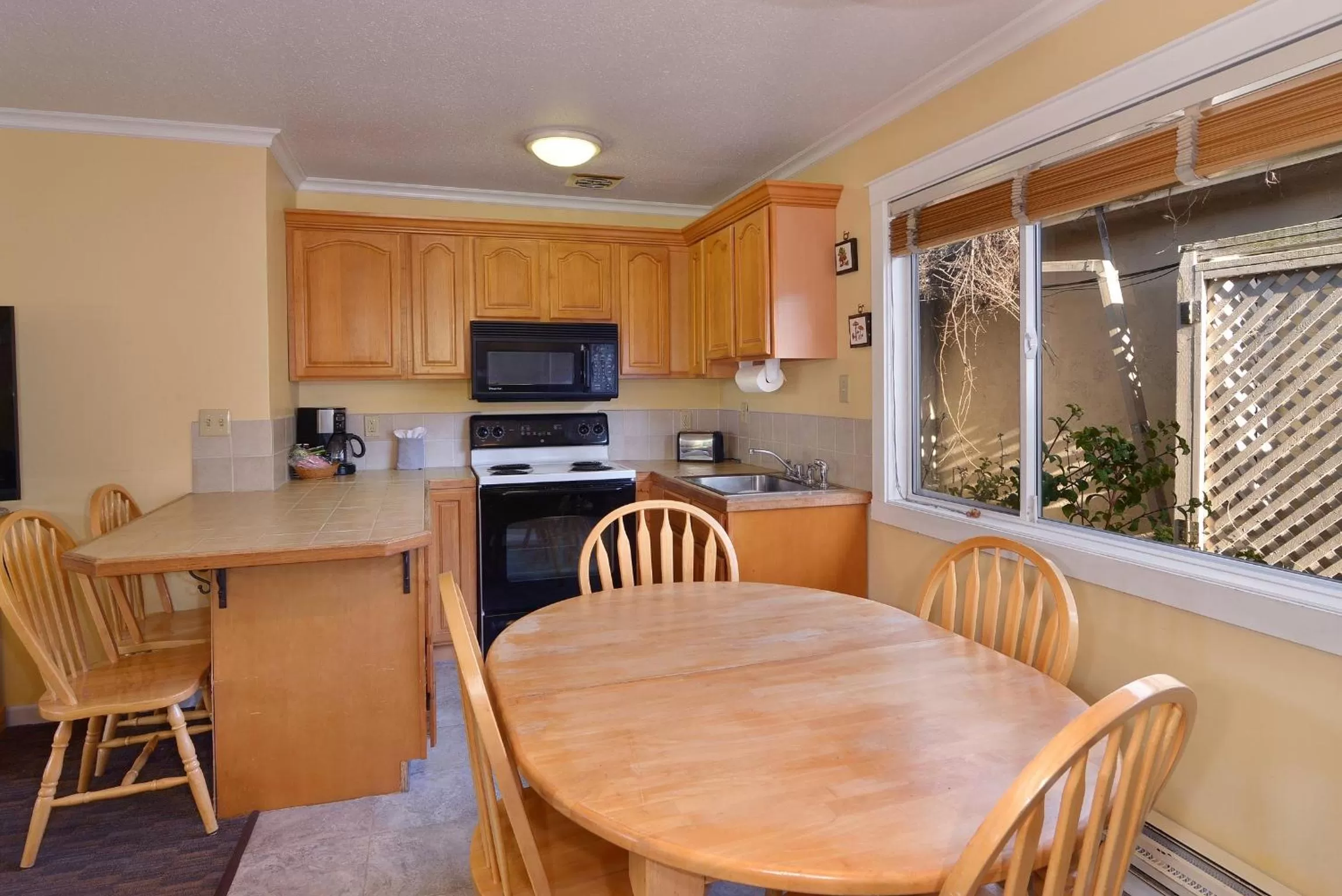 Surf Motel and Gardens