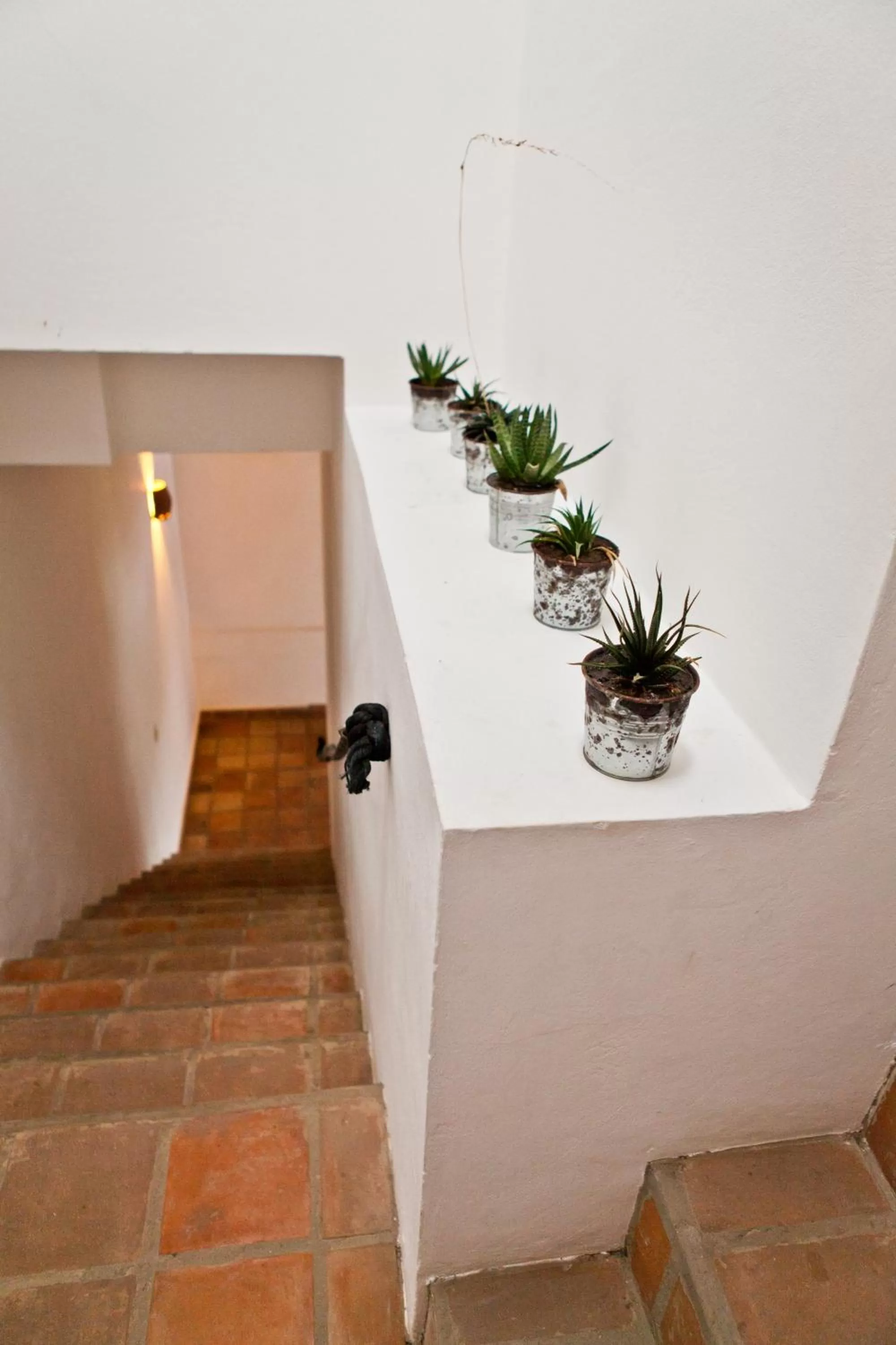 Decorative detail, Lobby/Reception in Miss Margrits