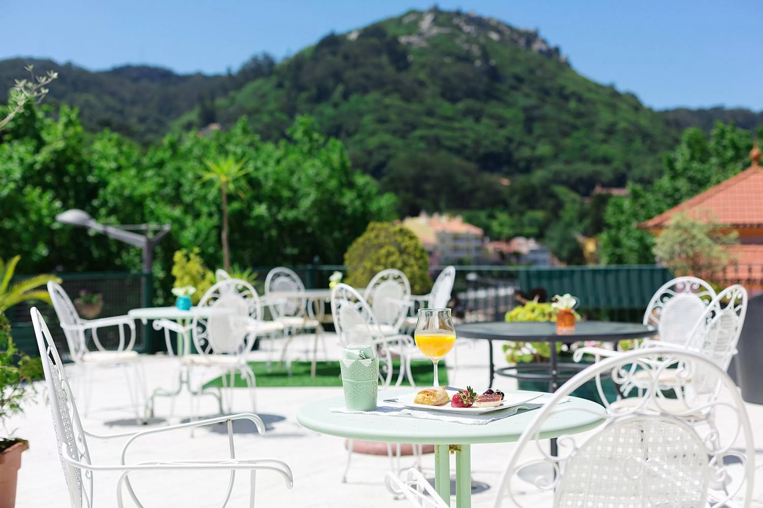 Garden in Hotel Nova Sintra - Adults only