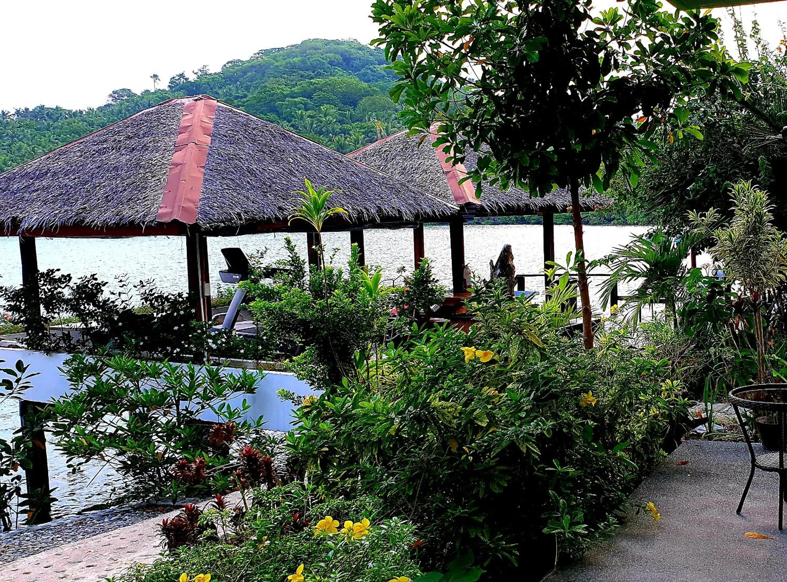 Garden view in Edgewater Dive & Spa Resort