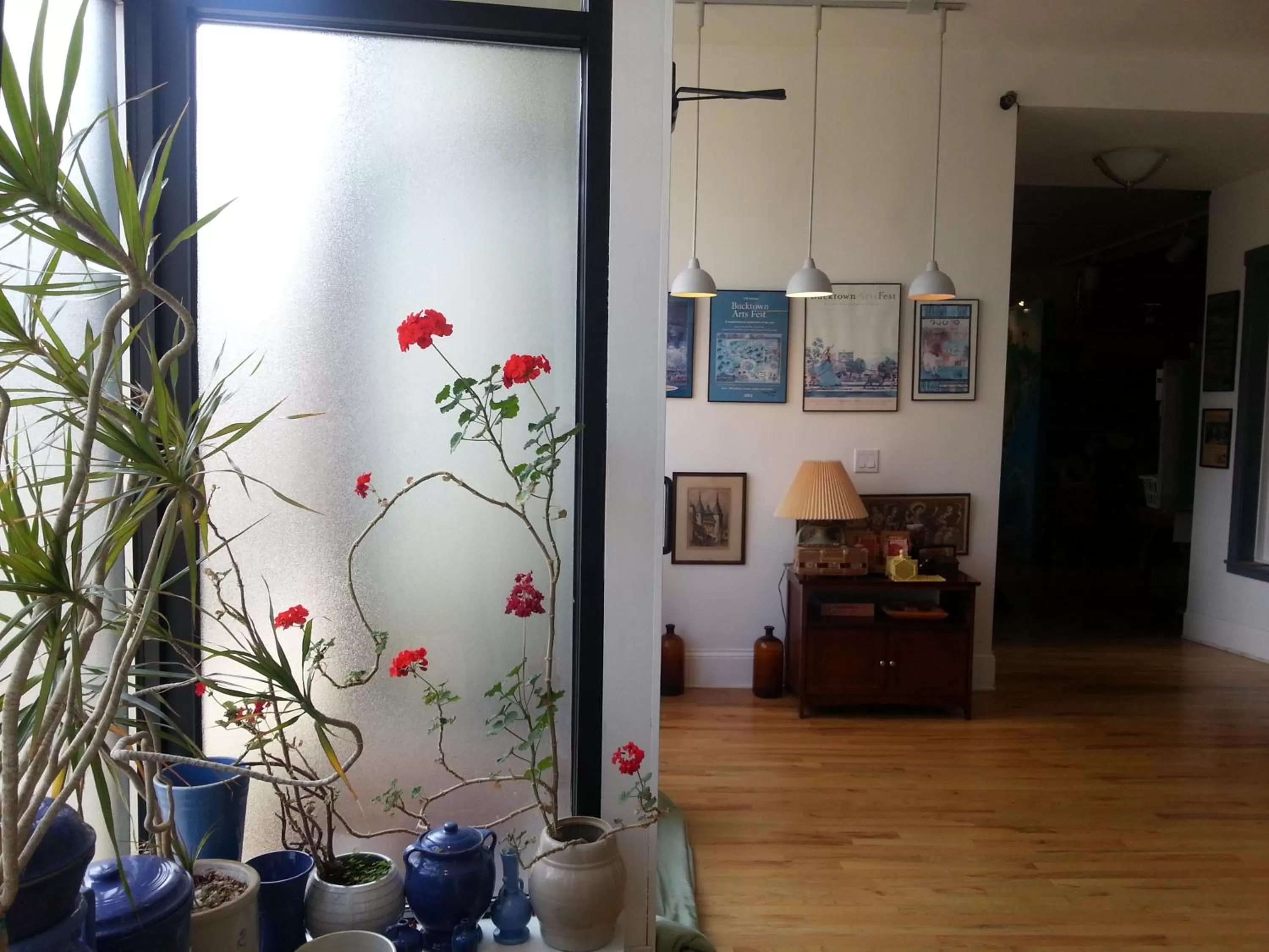 Communal lounge/ TV room in Ray's Bucktown Bed and Breakfast