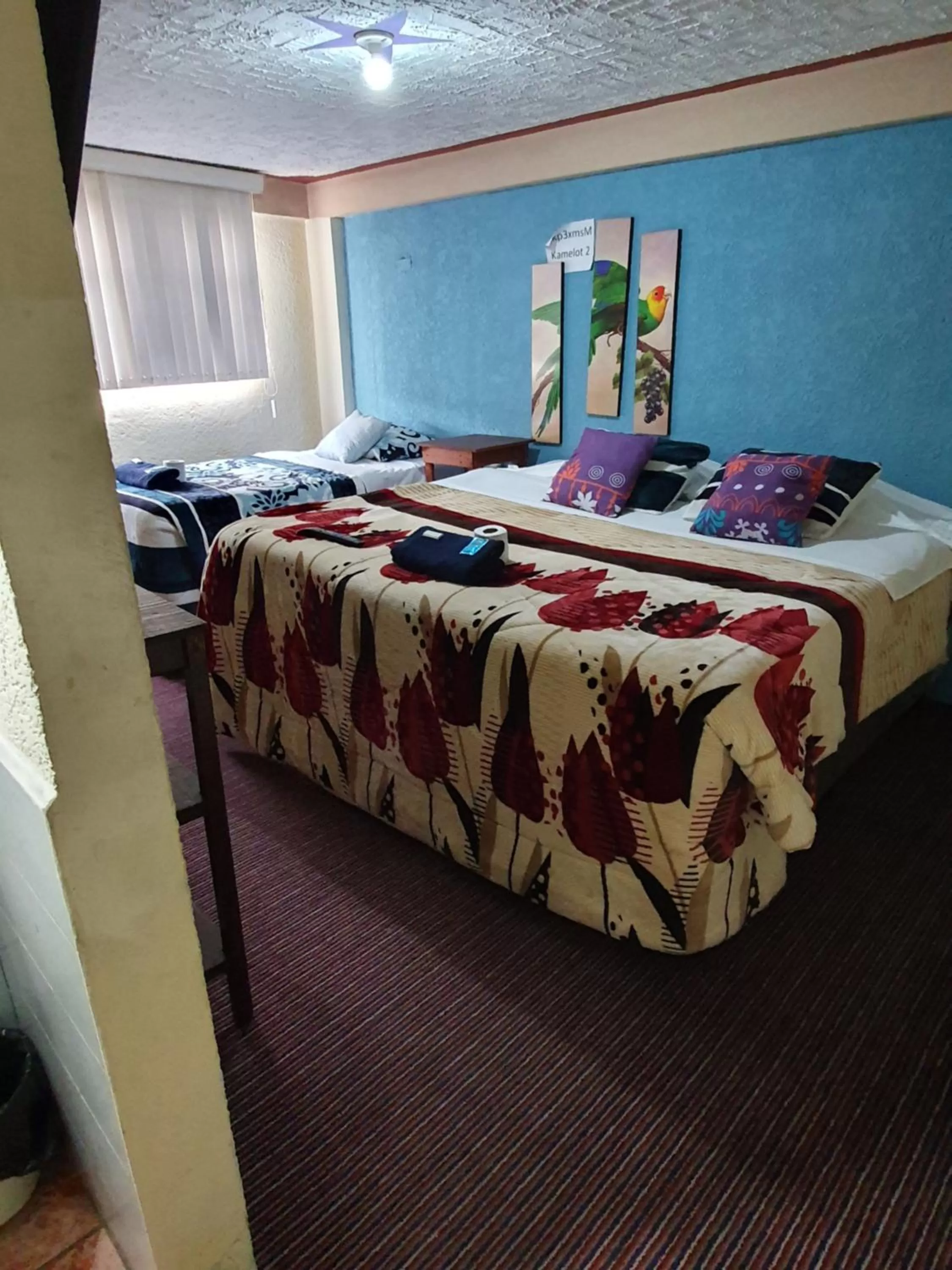 Bed in hotel kasa kamelot 2