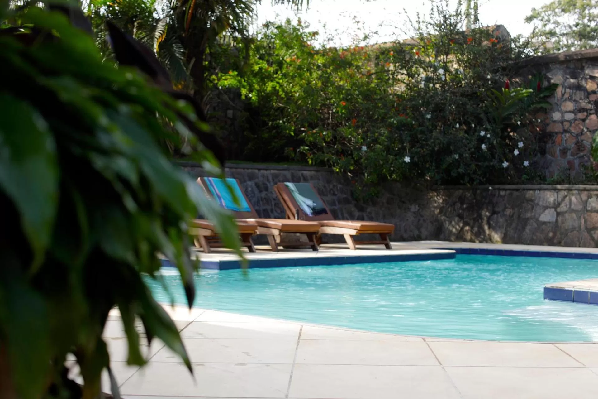 Pool view, Swimming Pool in Entebbe Palm Hotel