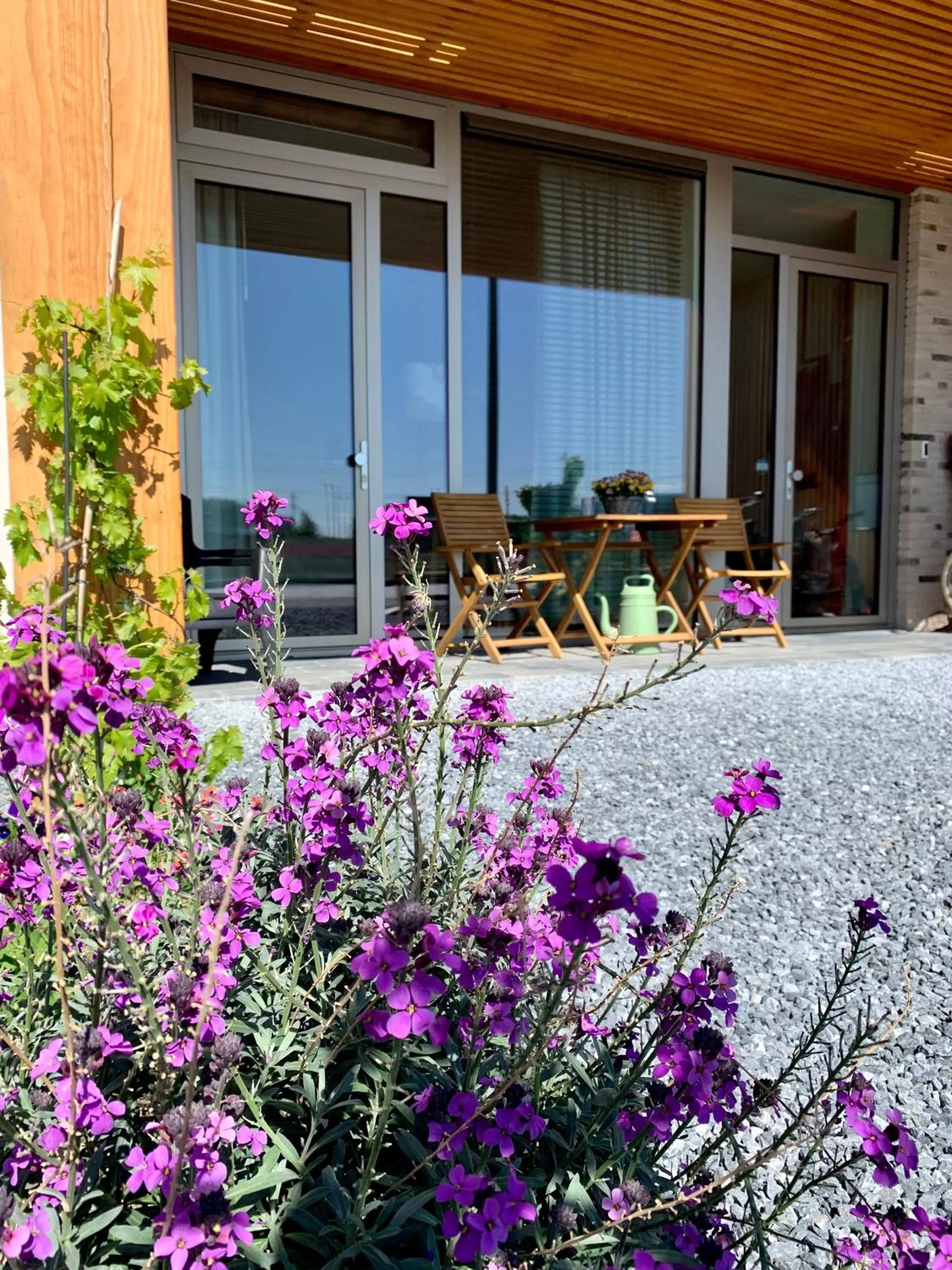 Facade/entrance in Waterfront Studio