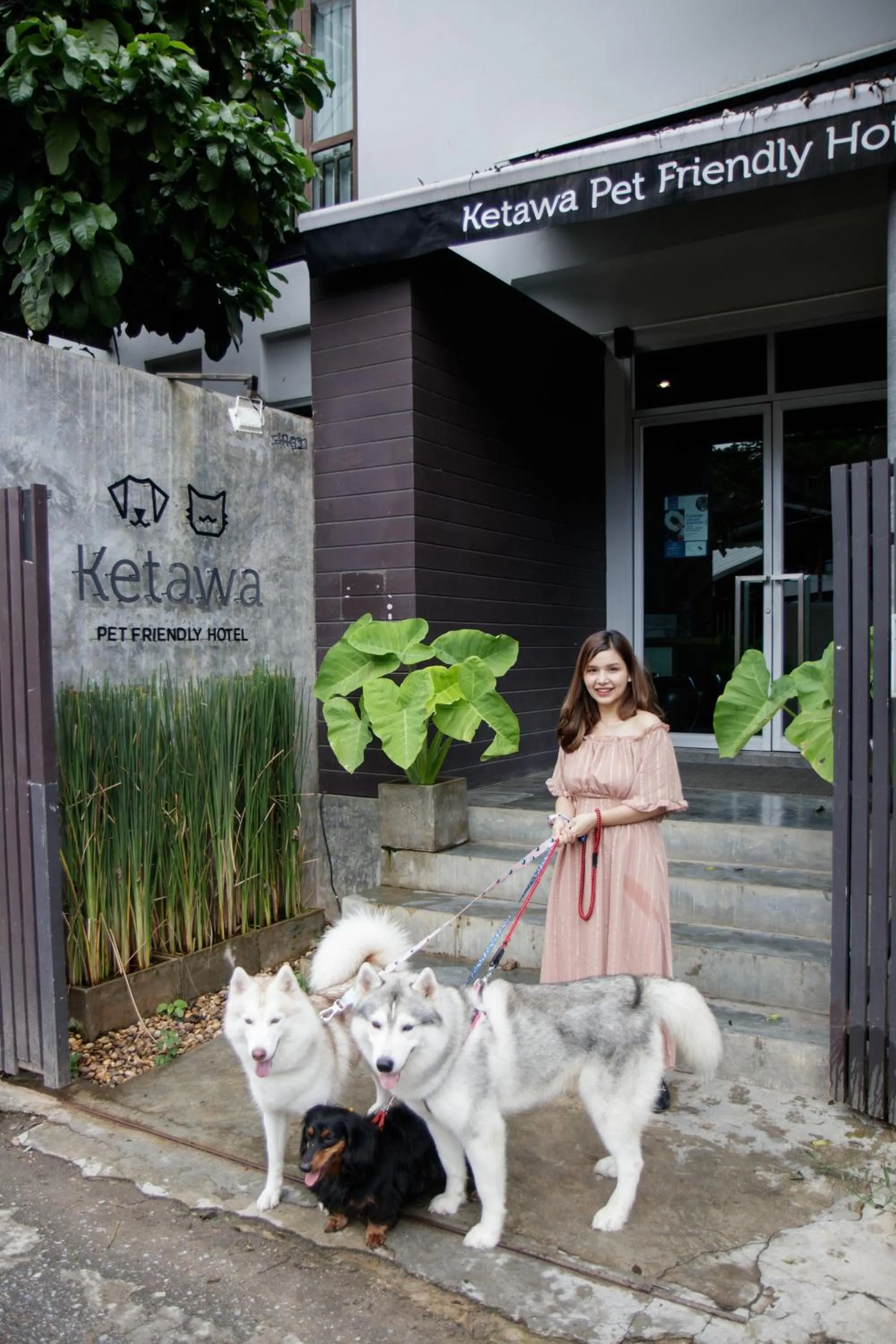 Facade/entrance in Ketawa Pet Friendly Hotel