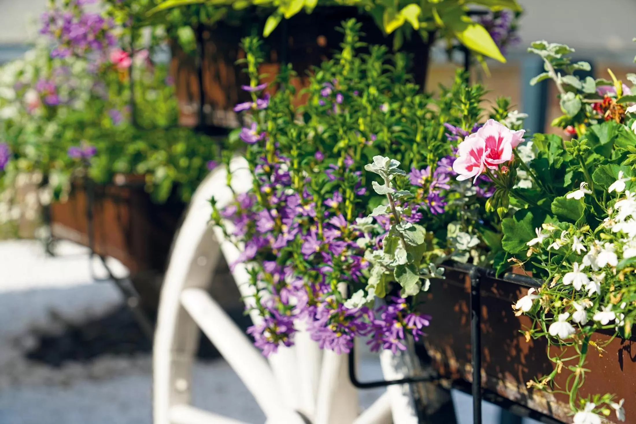 Garden in Hotel und Restaurant Bühlhaus