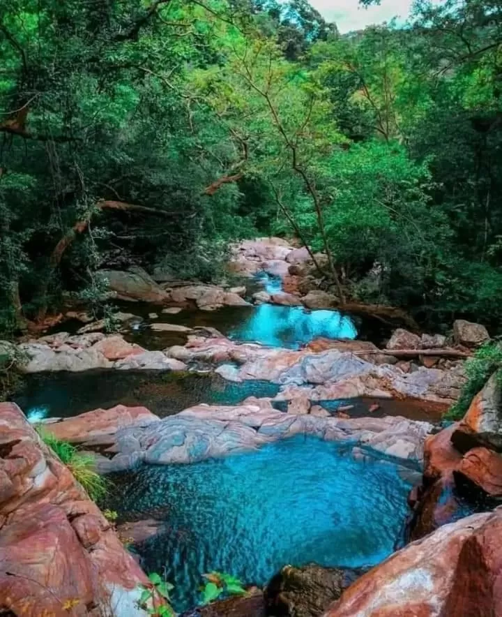 Ella Lucky Panoramic