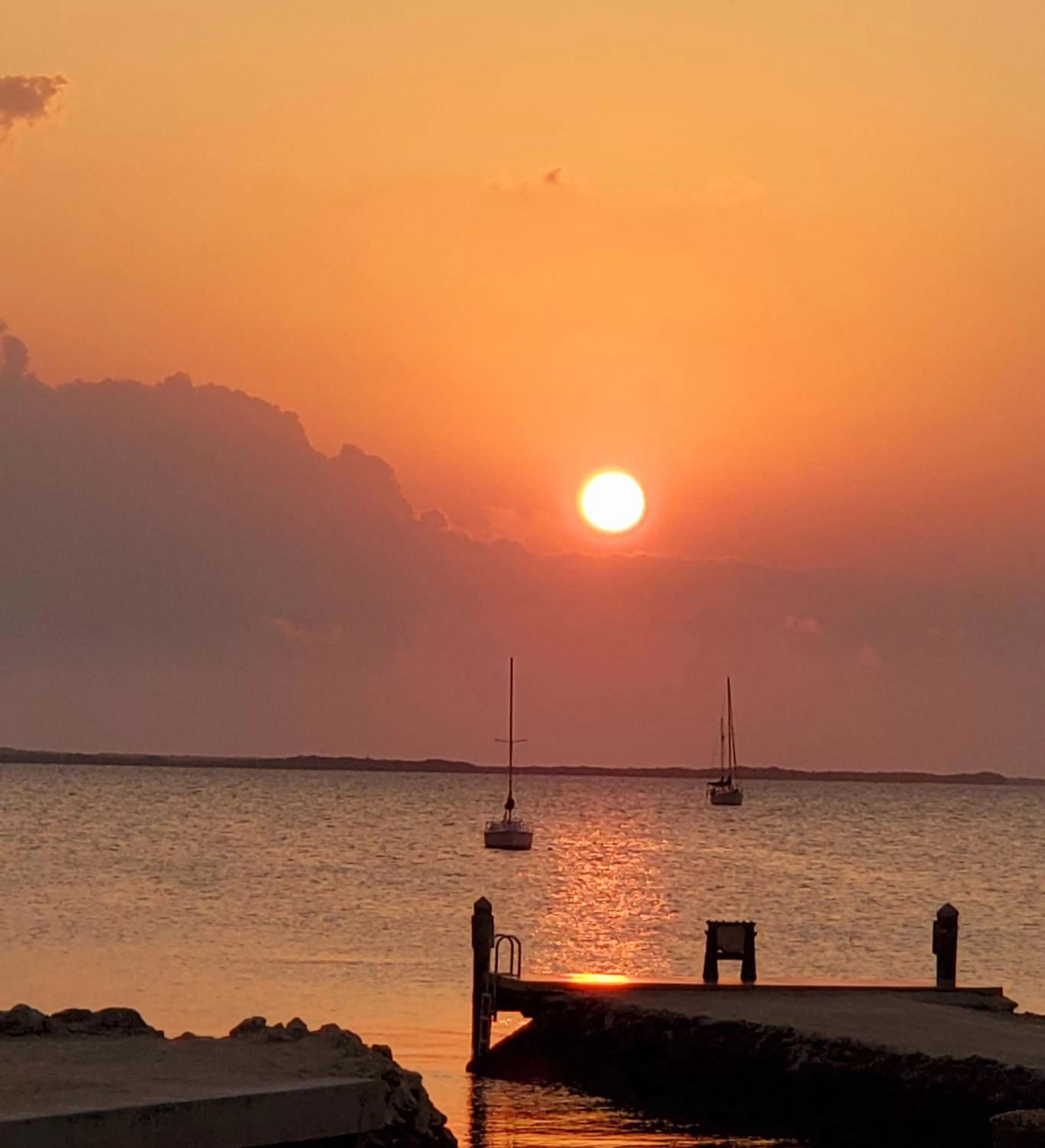 Natural landscape in Bayside Inn Key Largo