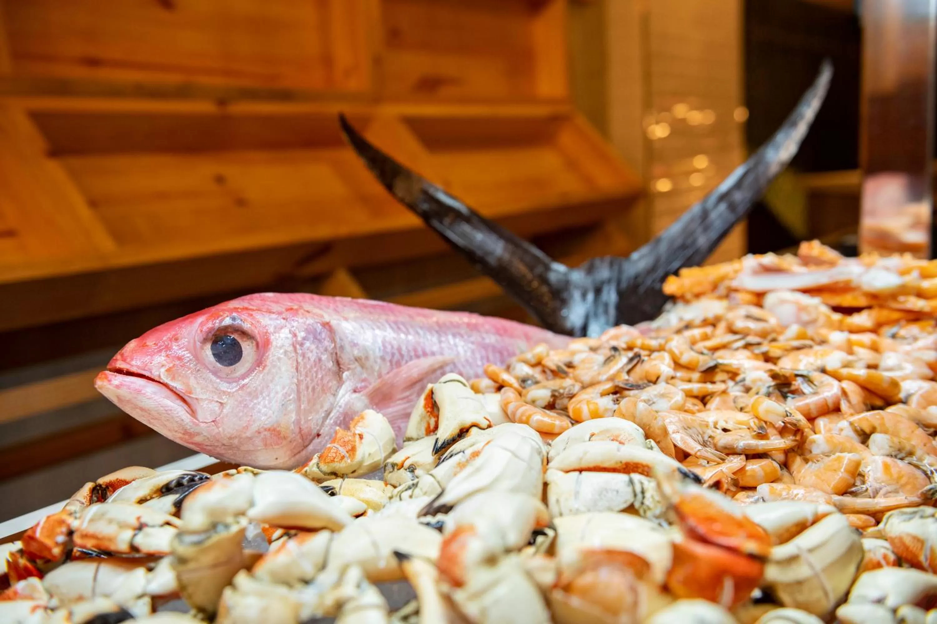 Food in Hyatt Ziva Cap Cana