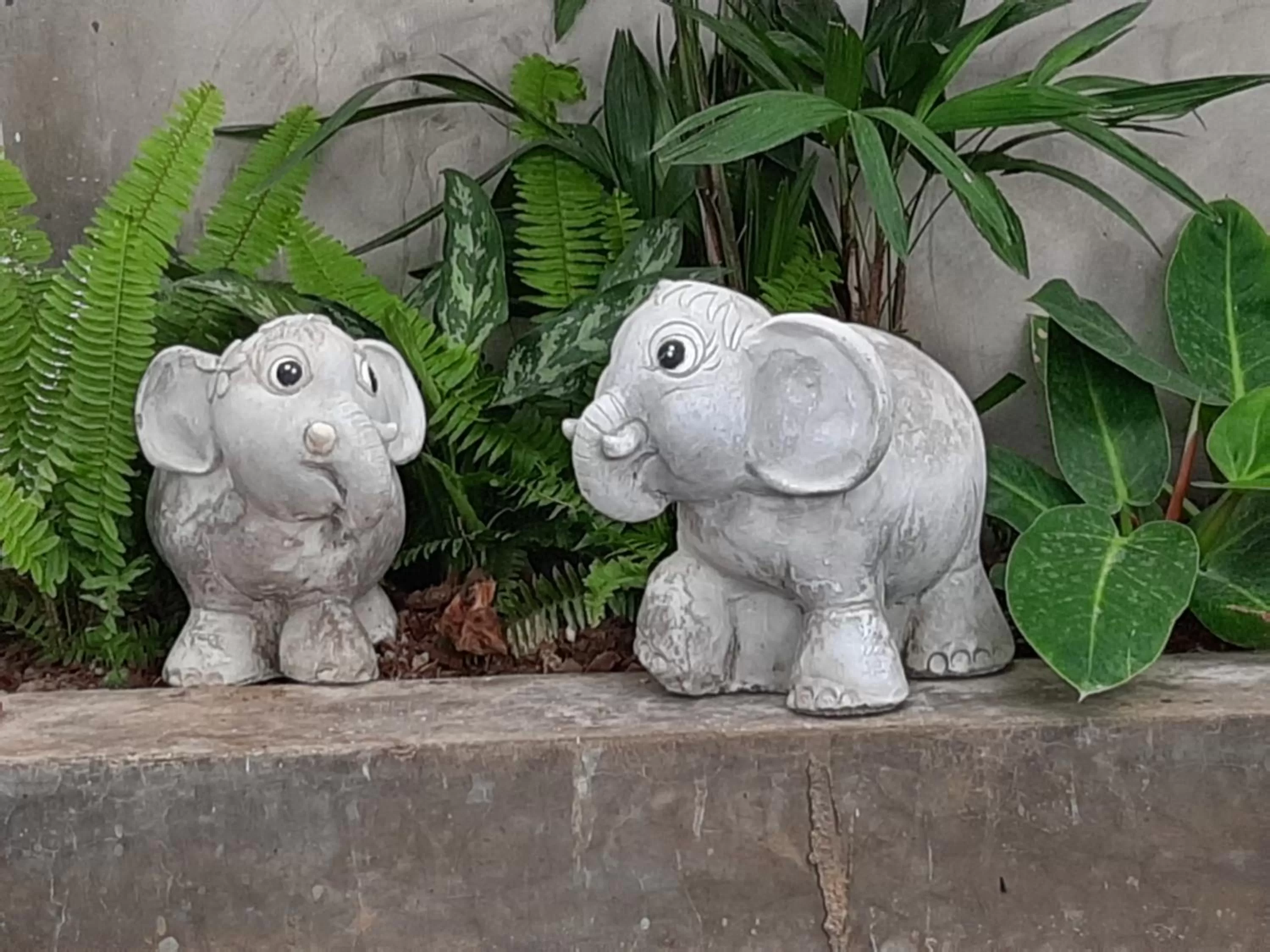 Fancy Carp Resort Hua-Hin