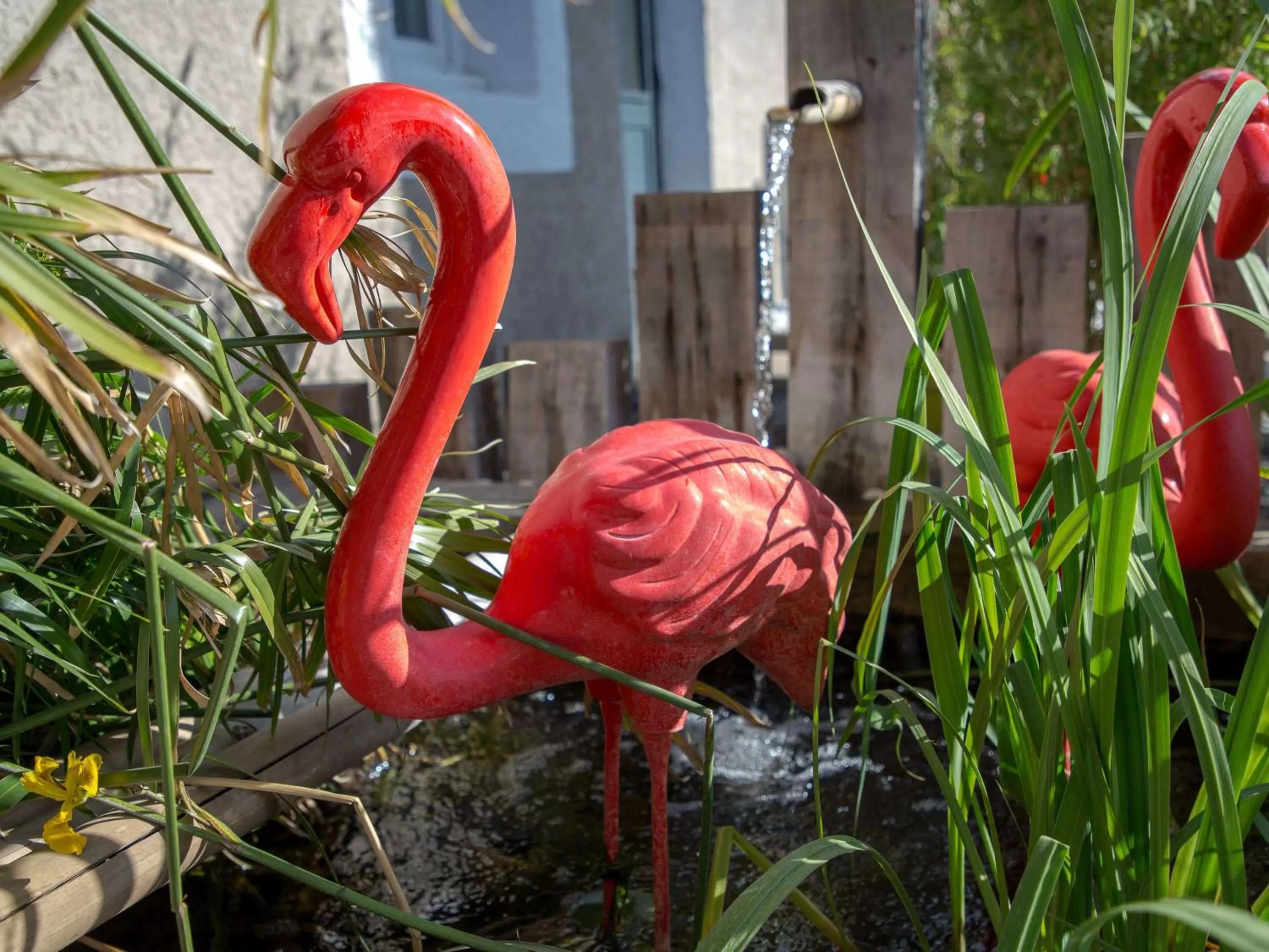 Property building in ibis Brignoles Provence Verte