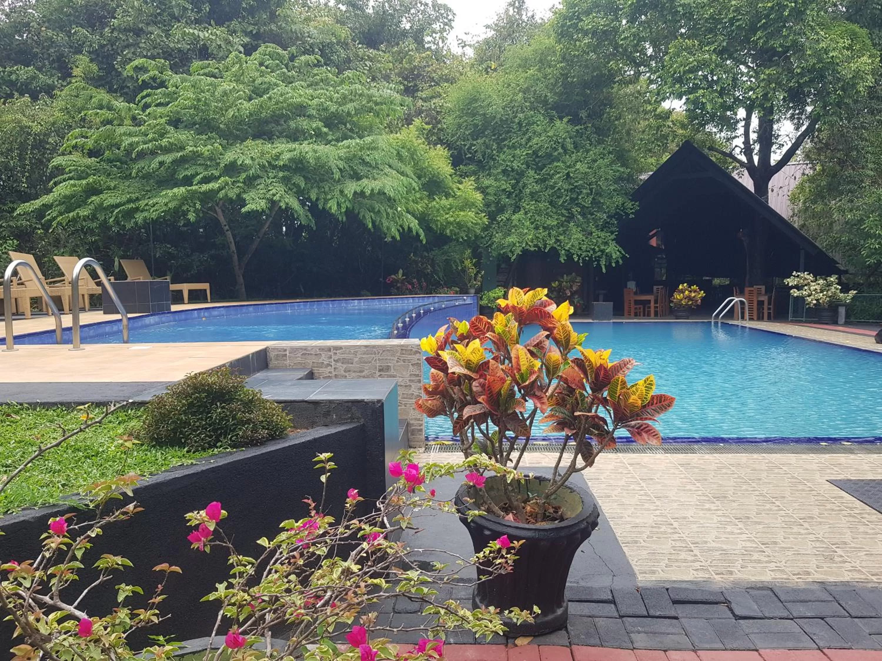 Garden view in Nice Place Resort