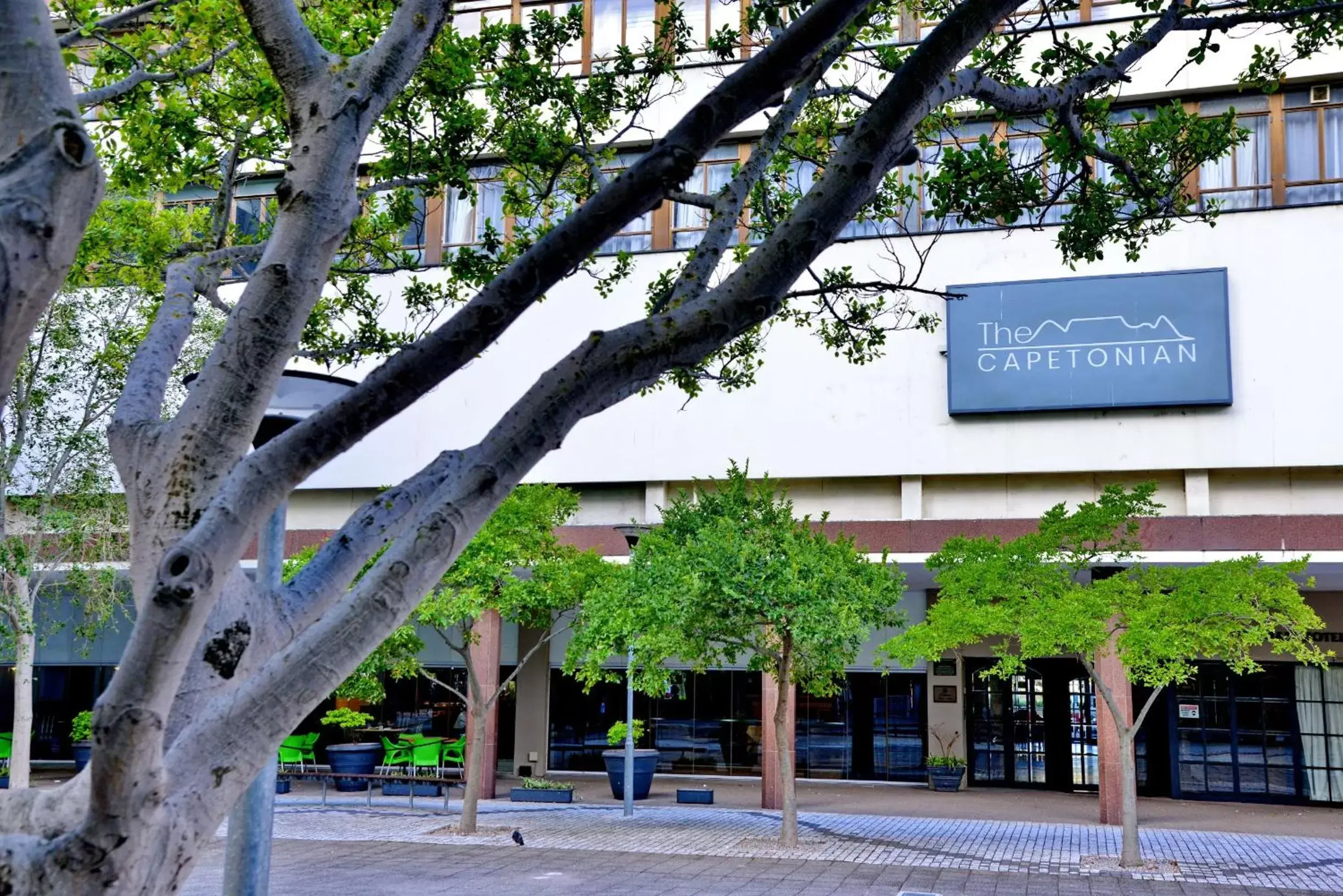 The Capetonian - Halal The Capetonian - Halal